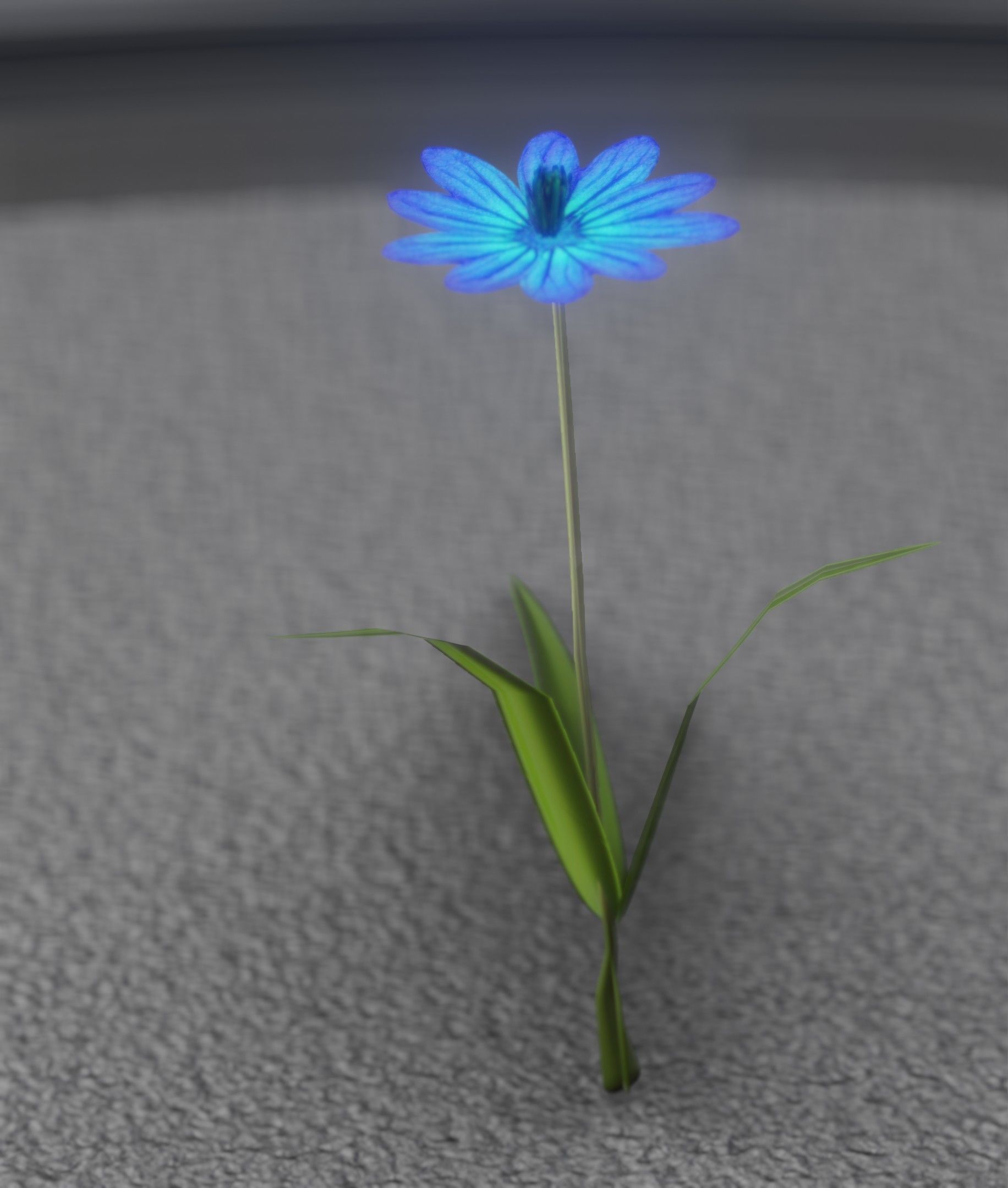 Blue Flower - Verion 2 - Object 17 Low-poly 3D model_31