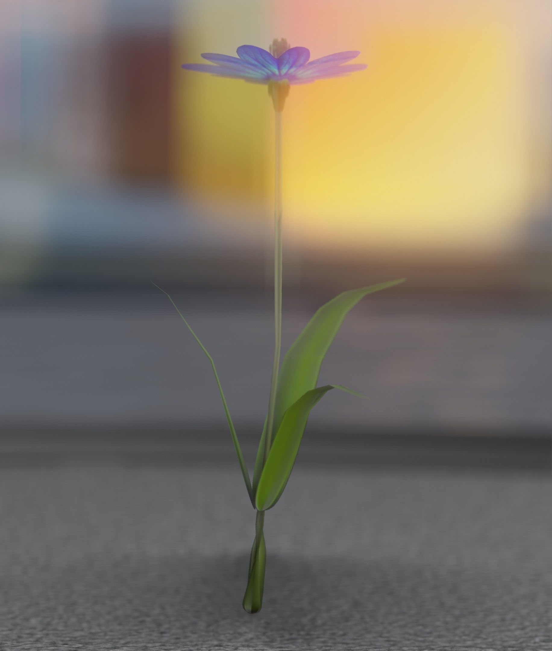 Blue Flower - Verion 2 - Object 17 Low-poly 3D model_22