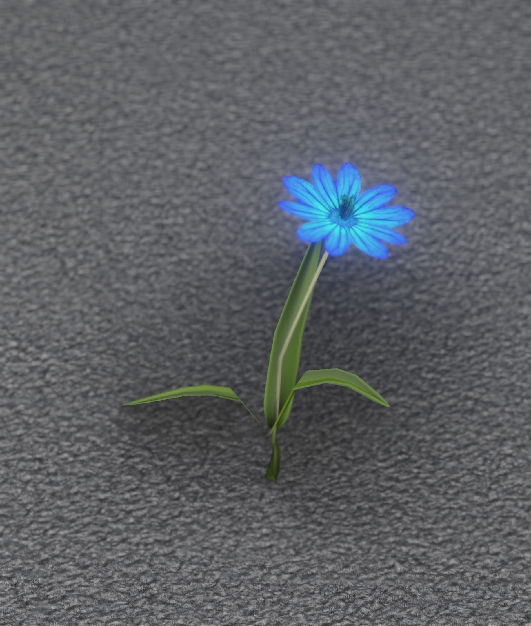 Blue Flower - Verion 2 - Object 17 Low-poly 3D model_40
