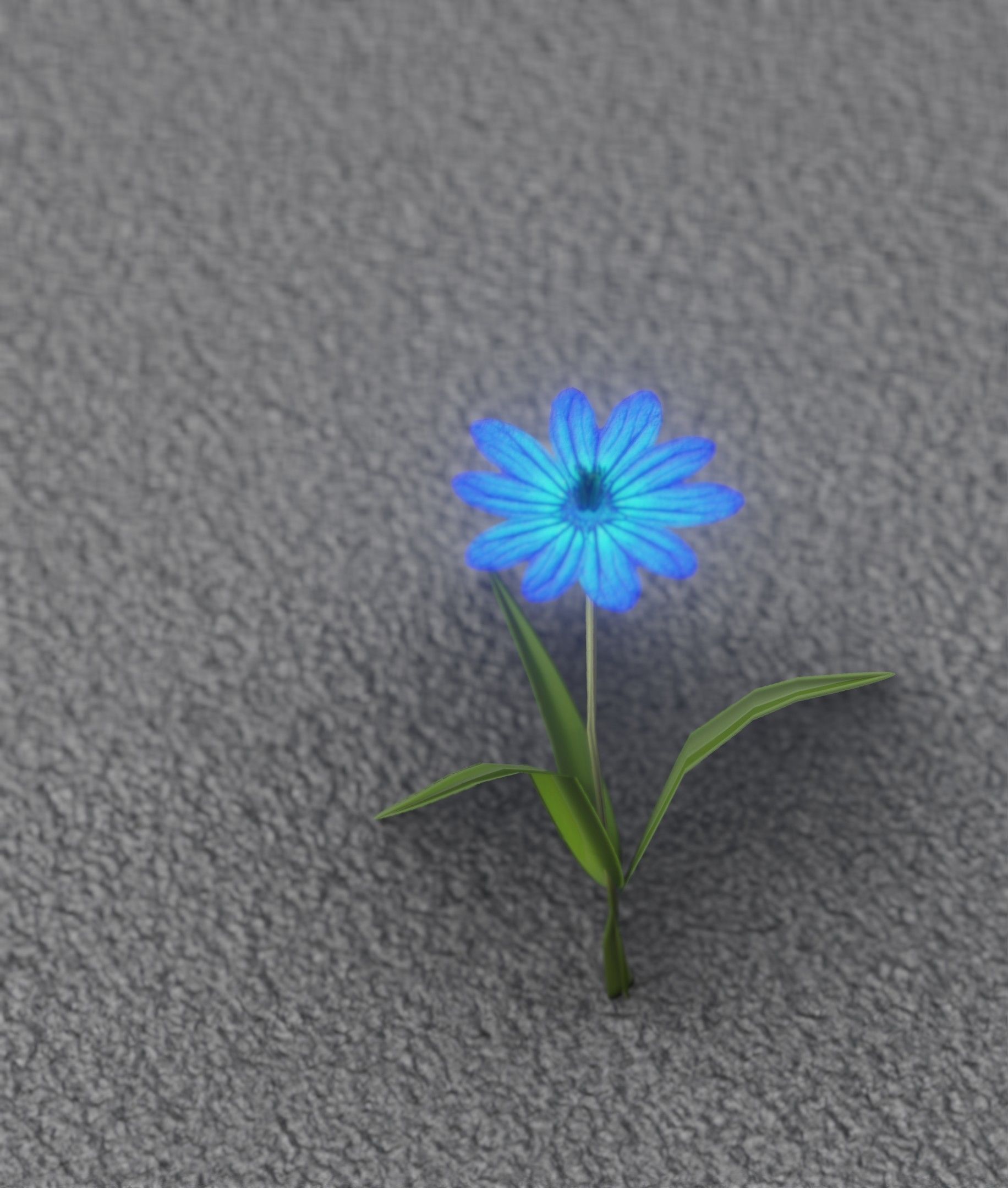 Blue Flower - Verion 2 - Object 17 Low-poly 3D model_43