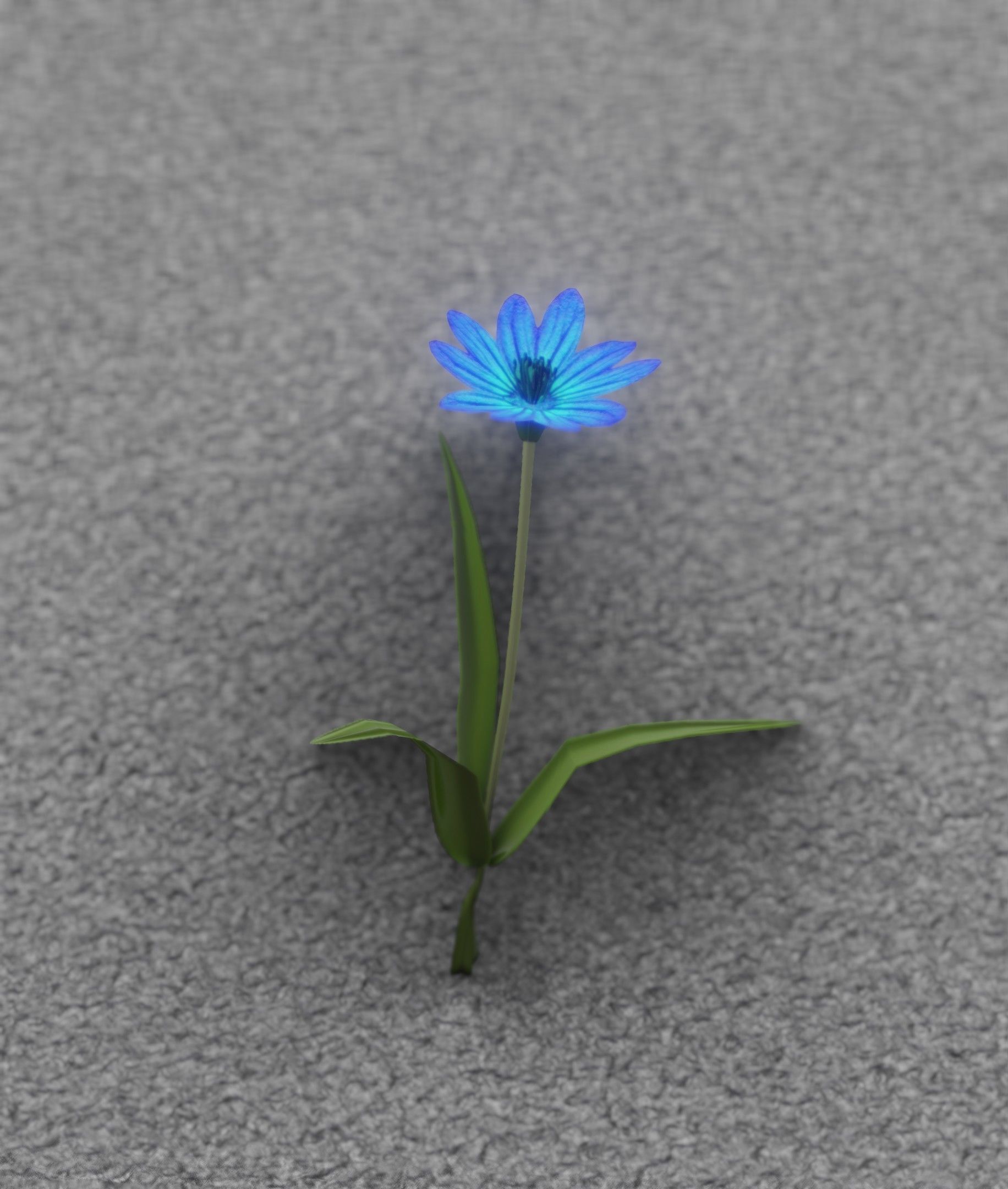 Blue Flower - Verion 3 - Object 18 Low-poly 3D model_31