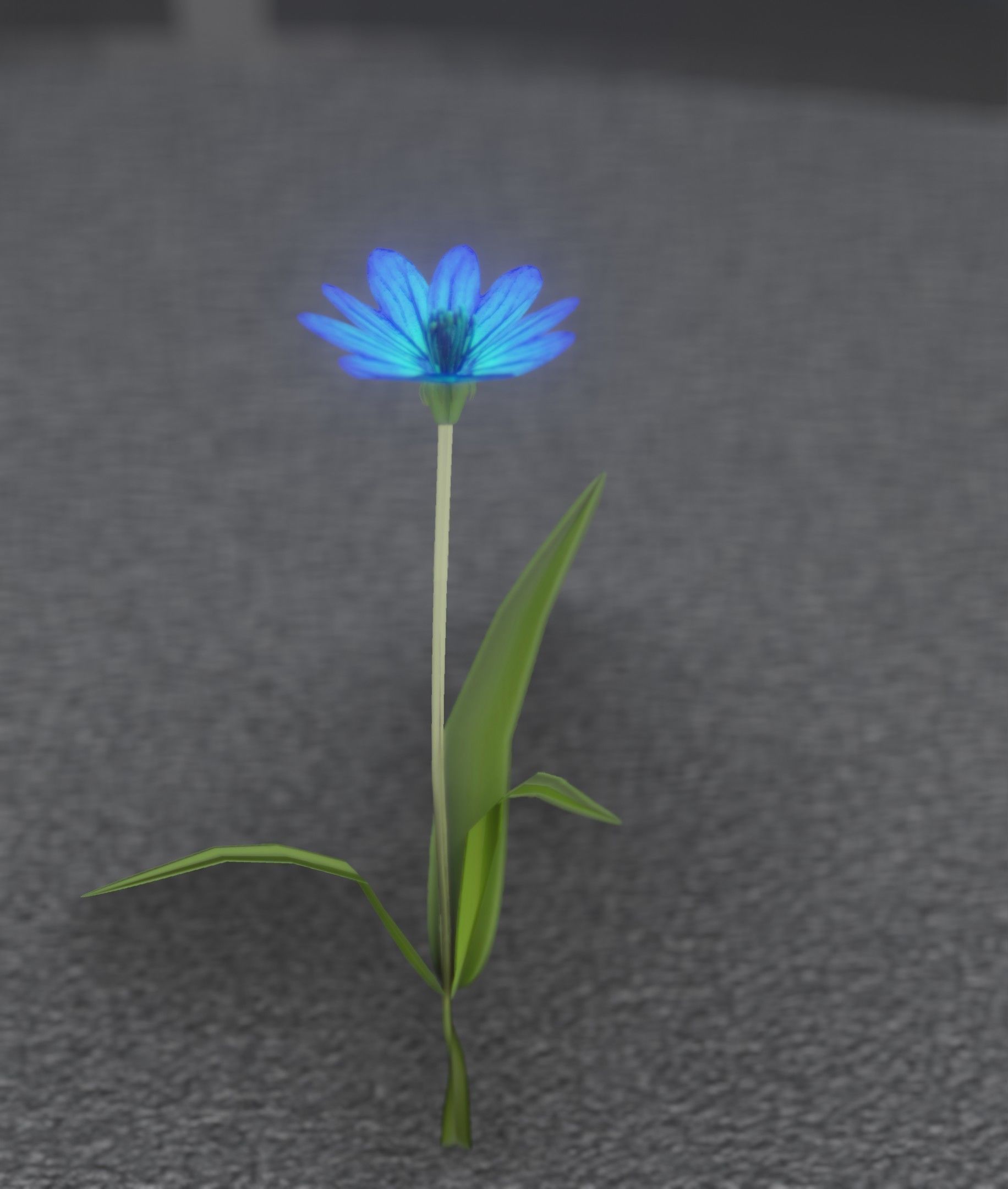 Blue Flower - Verion 3 - Object 18 Low-poly 3D model_23