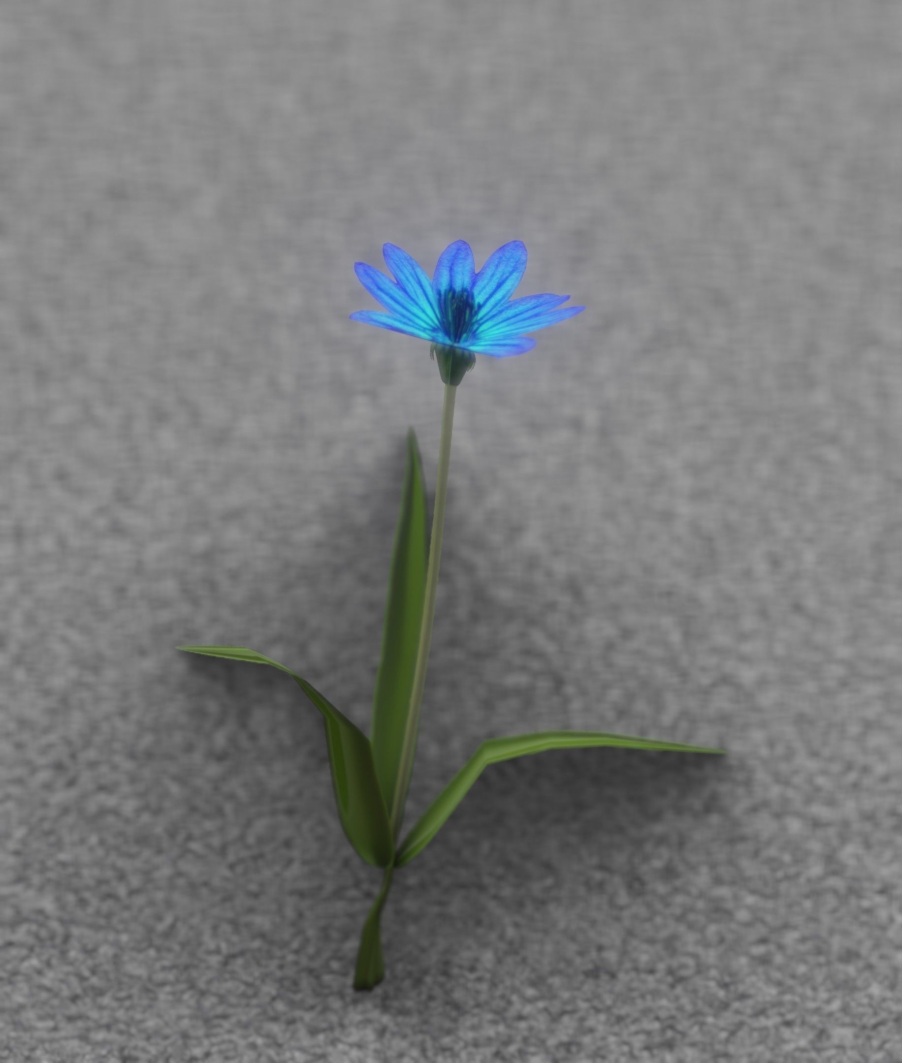 Blue Flower - Verion 3 - Object 18 Low-poly 3D model_42