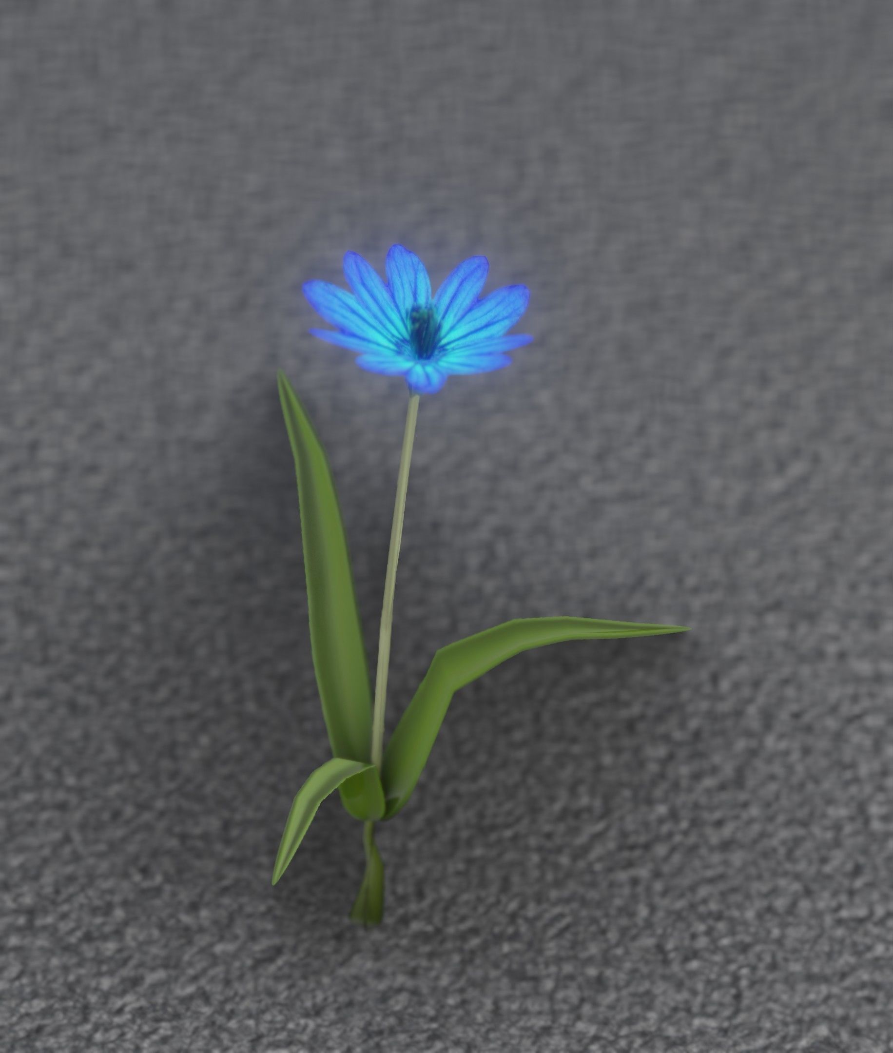 Blue Flower - Verion 3 - Object 18 Low-poly 3D model_46