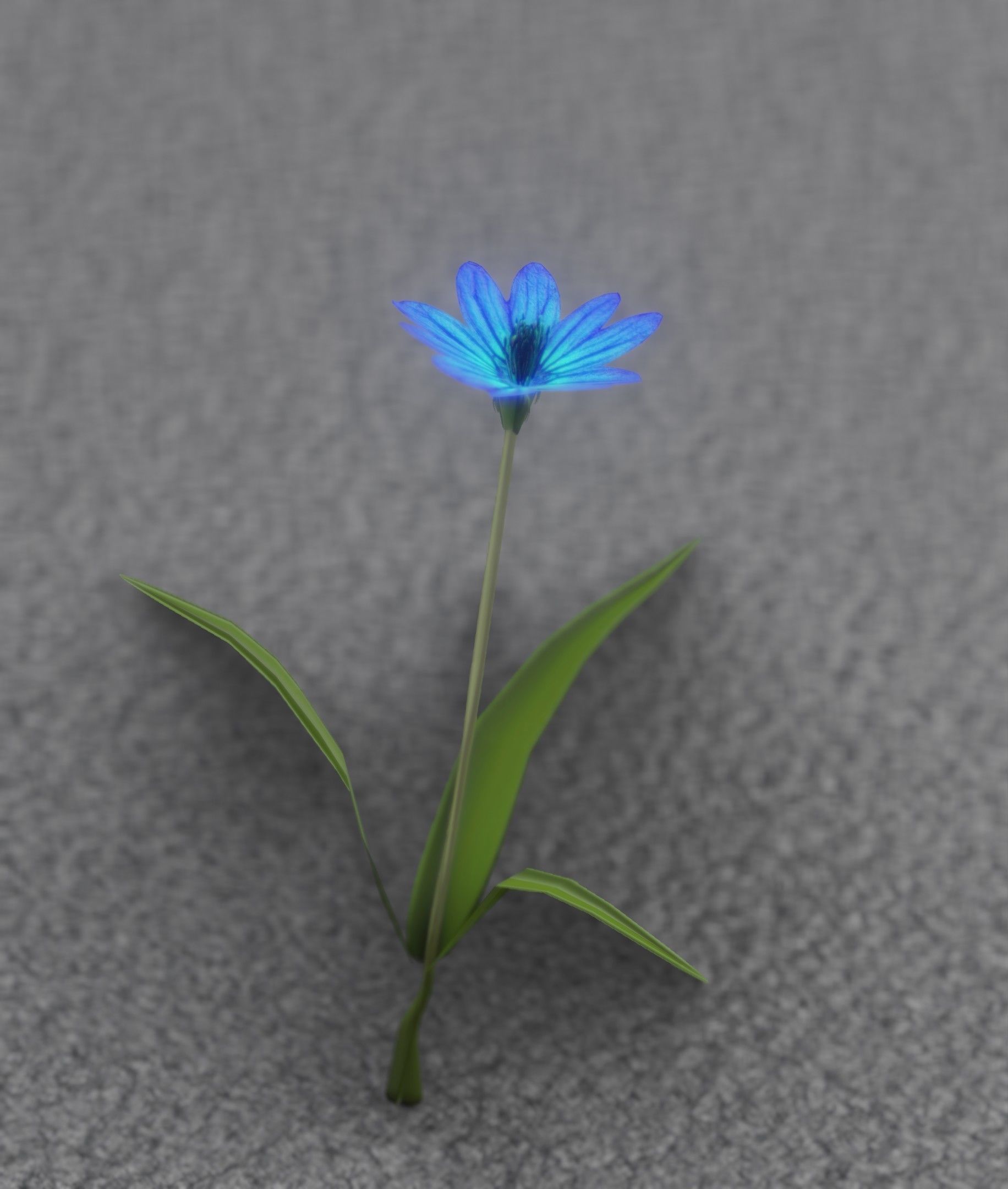Blue Flower - Verion 3 - Object 18 Low-poly 3D model_44