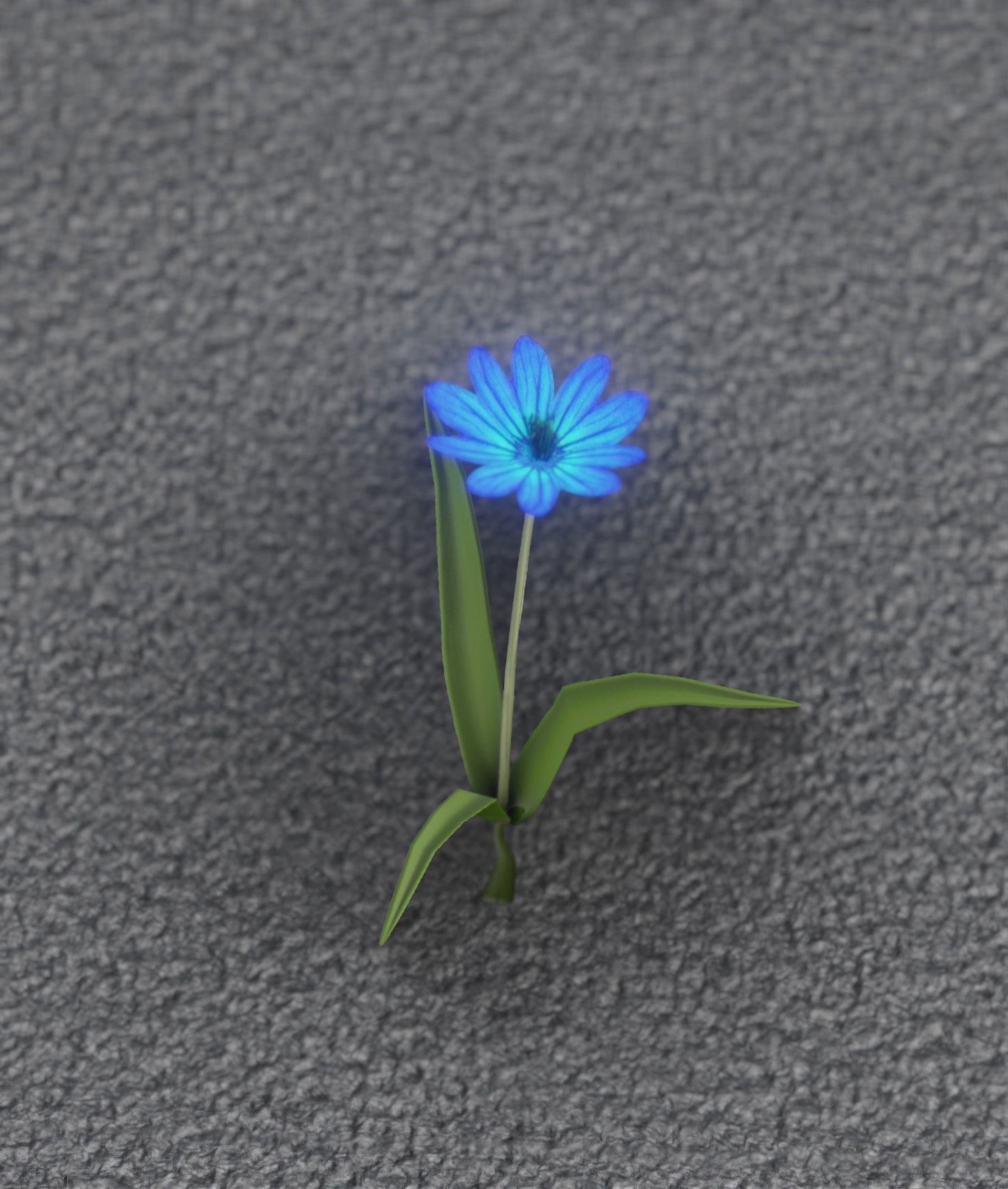 Blue Flower - Verion 3 - Object 18 Low-poly 3D model_4