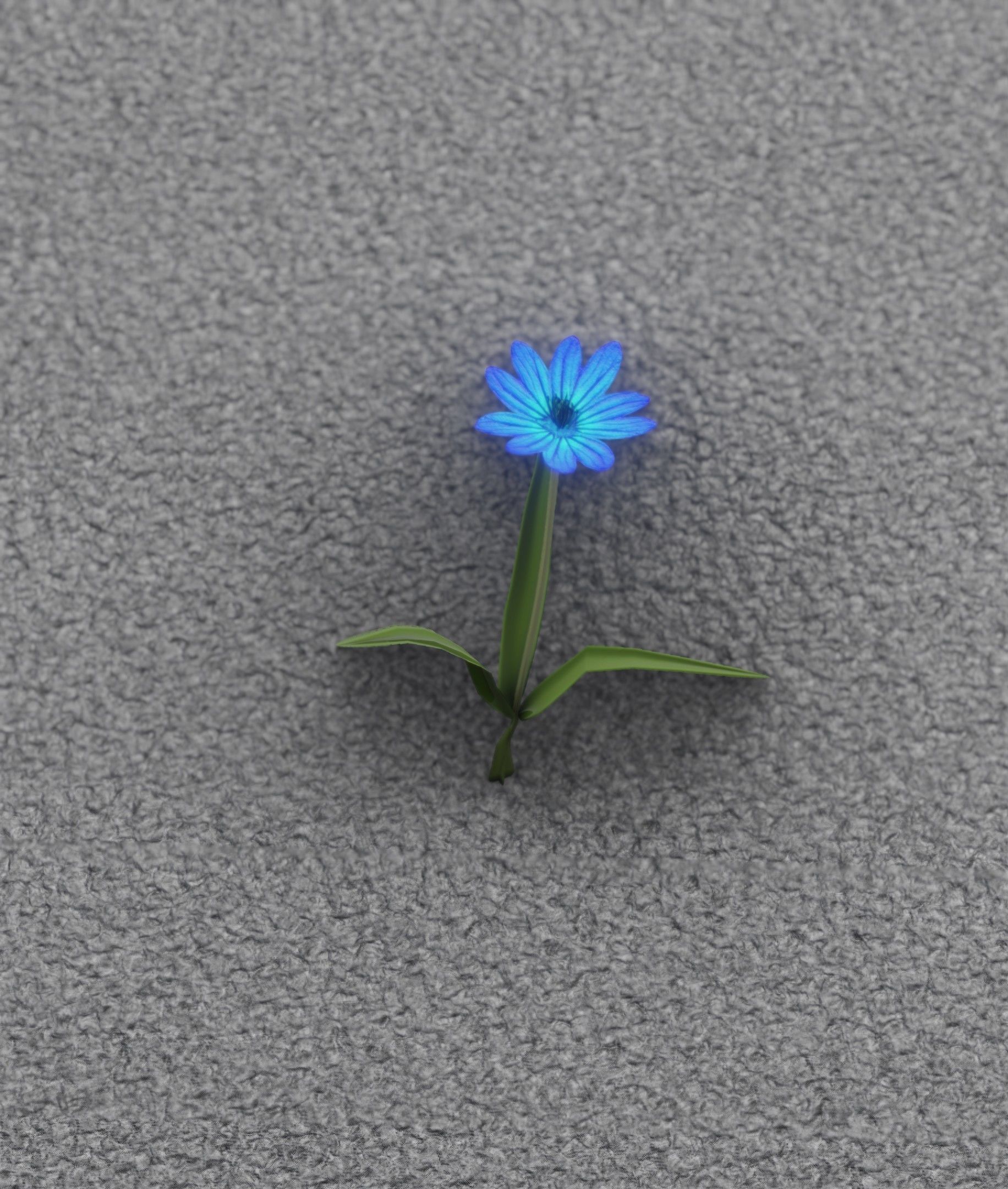 Blue Flower - Verion 3 - Object 18 Low-poly 3D model_17