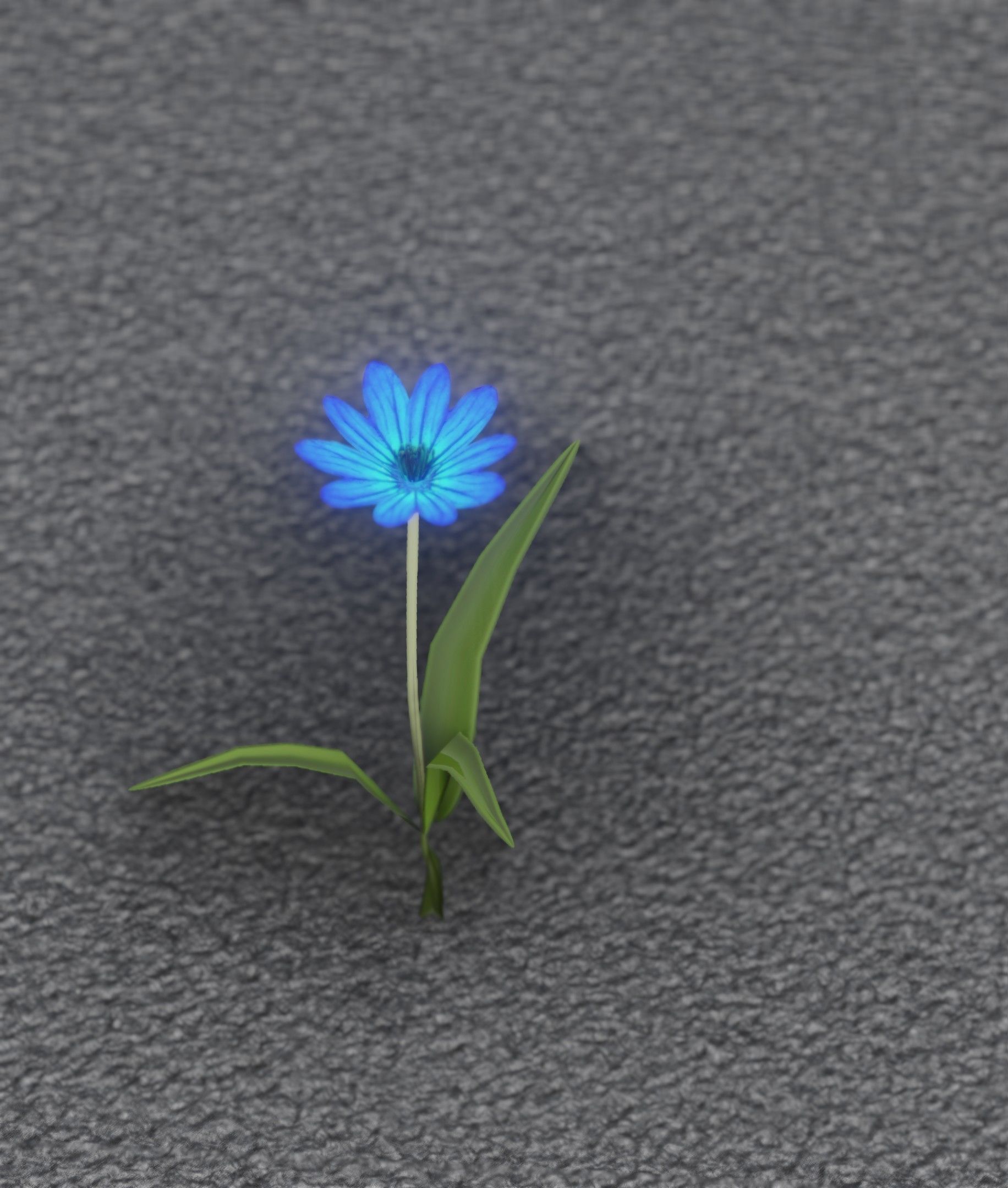 Blue Flower - Verion 3 - Object 18 Low-poly 3D model_49
