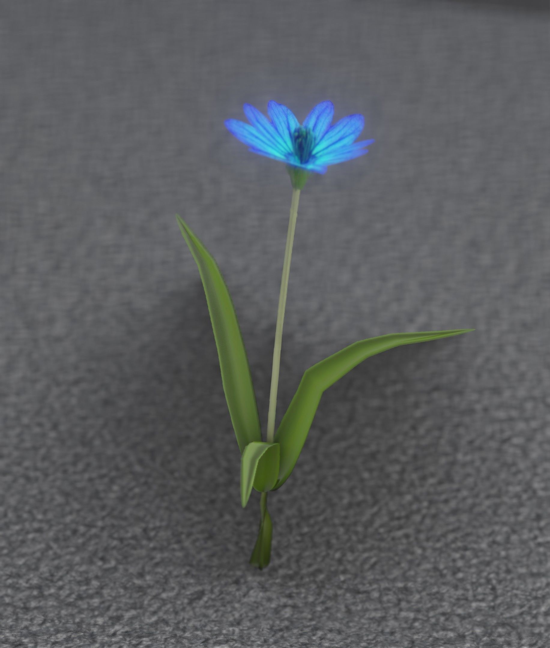 Blue Flower - Verion 3 - Object 18 Low-poly 3D model_8