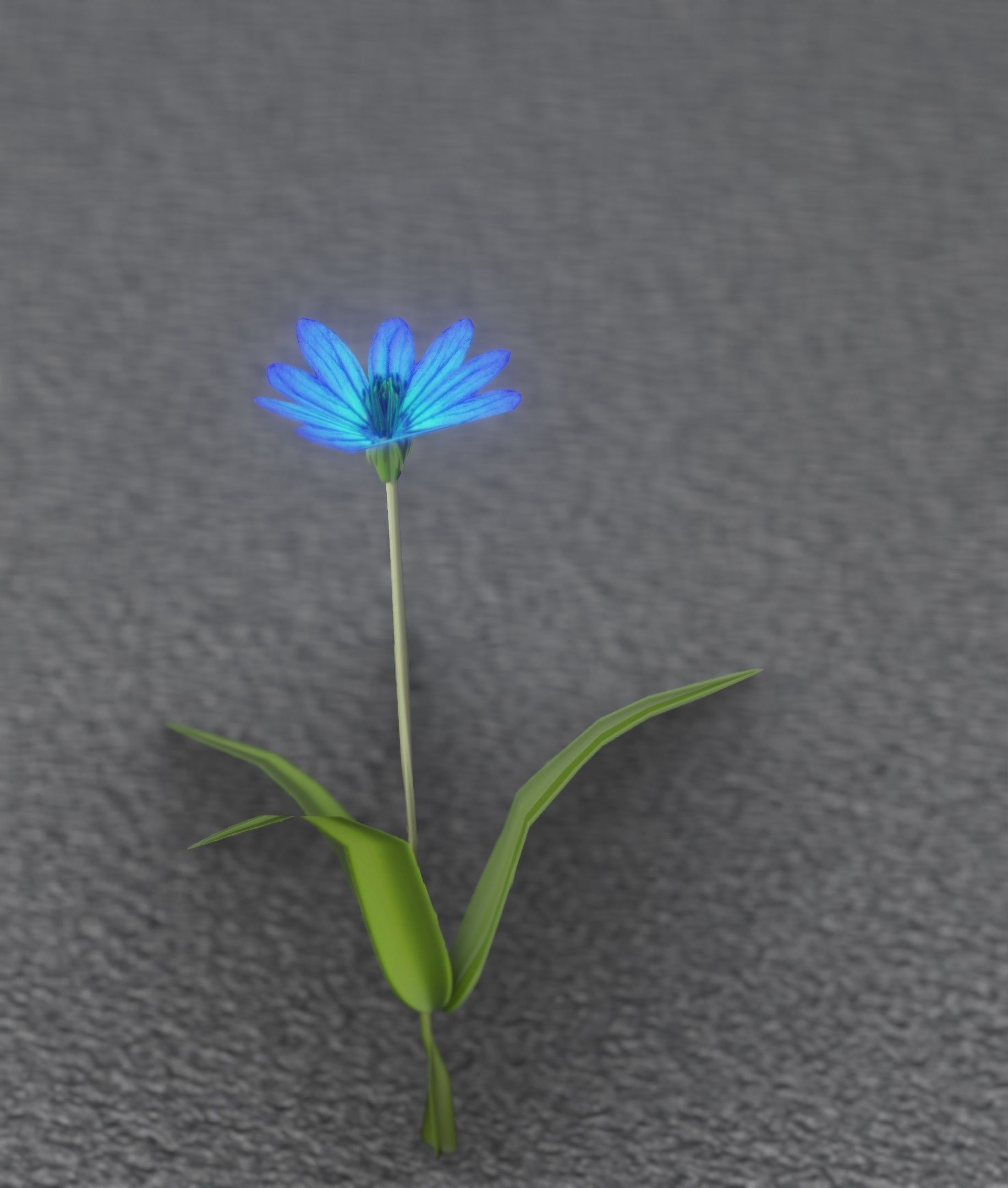 Blue Flower - Verion 3 - Object 18 Low-poly 3D model_25