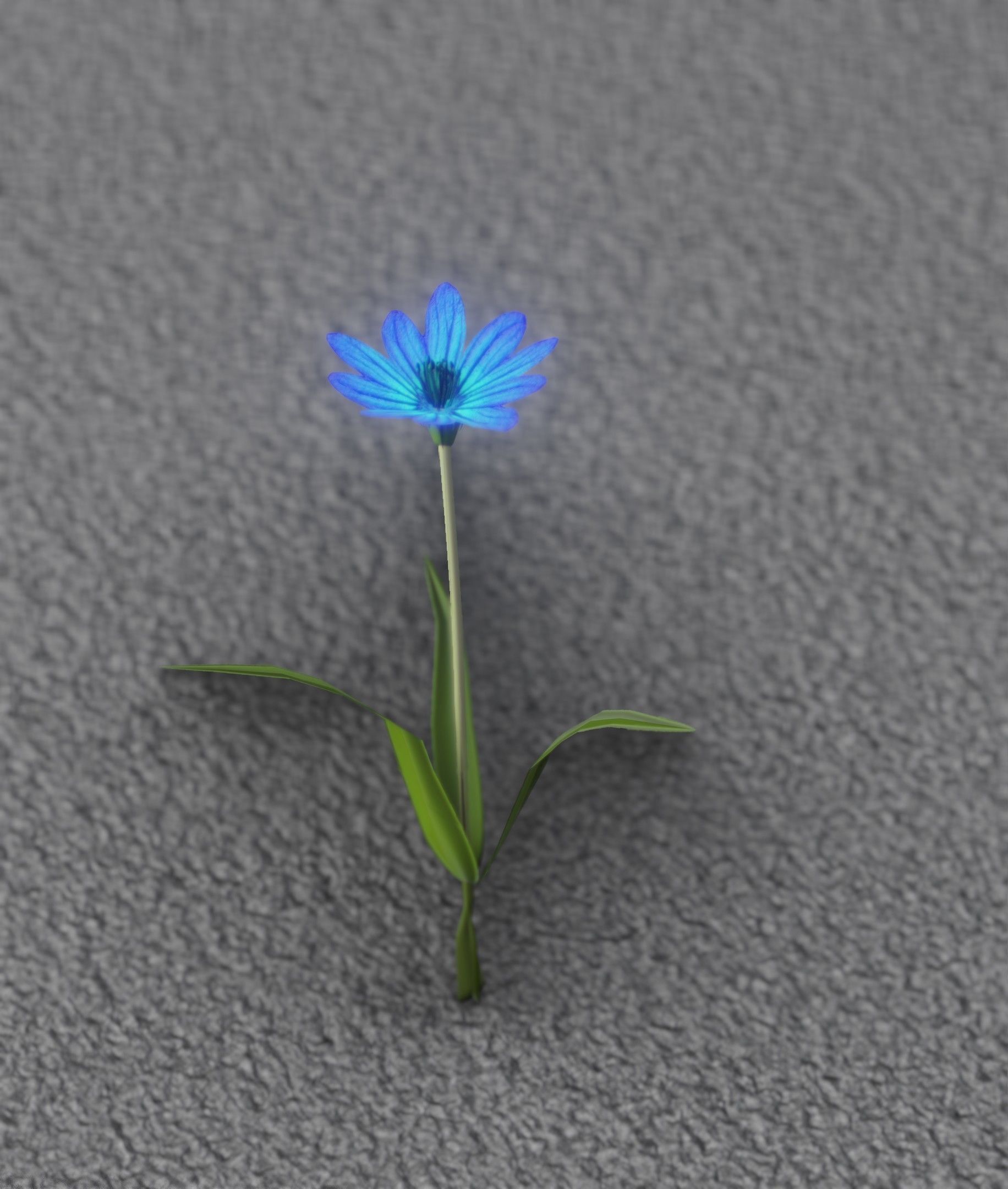 Blue Flower - Verion 3 - Object 18 Low-poly 3D model_38