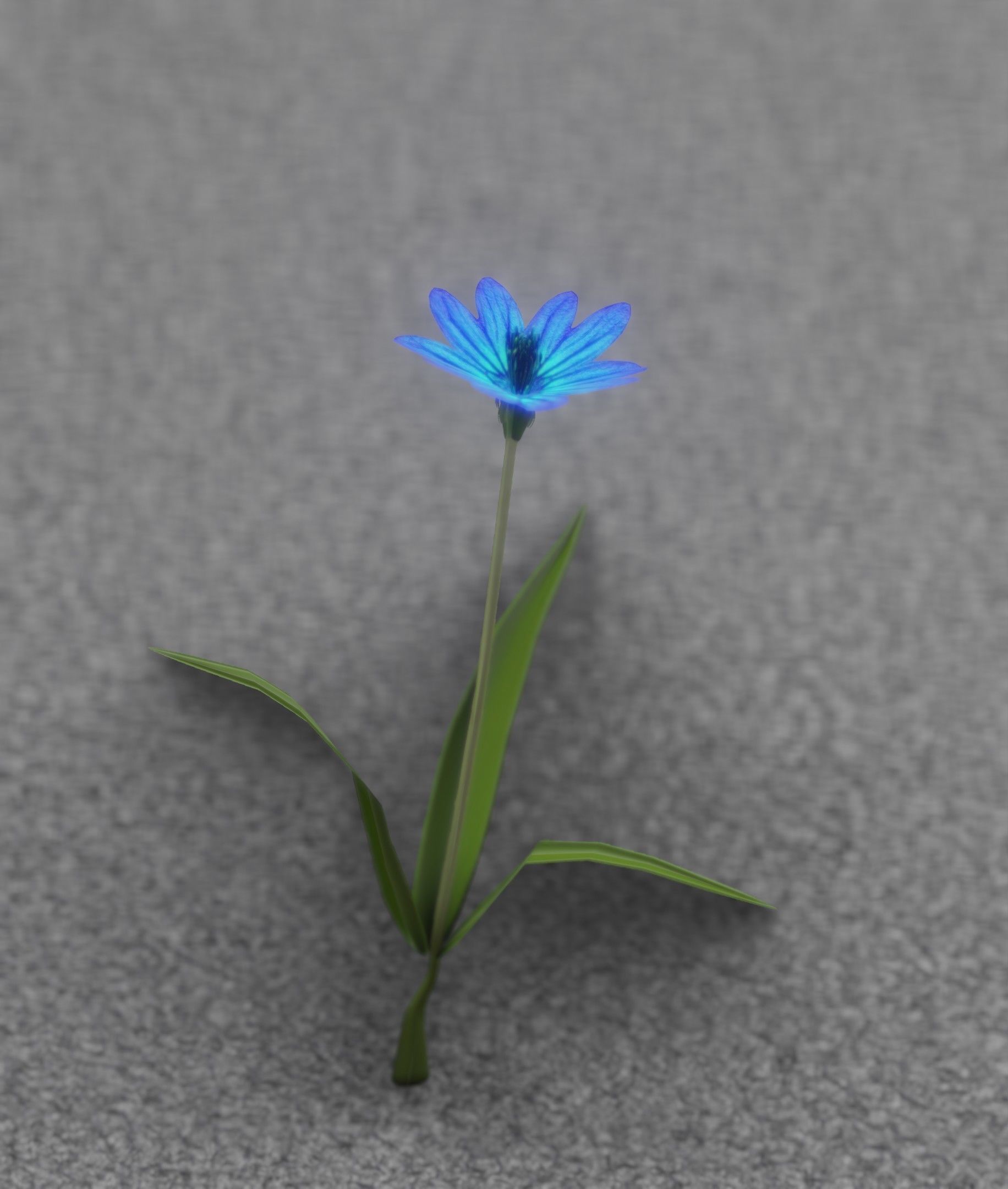 Blue Flower - Verion 3 - Object 18 Low-poly 3D model_43