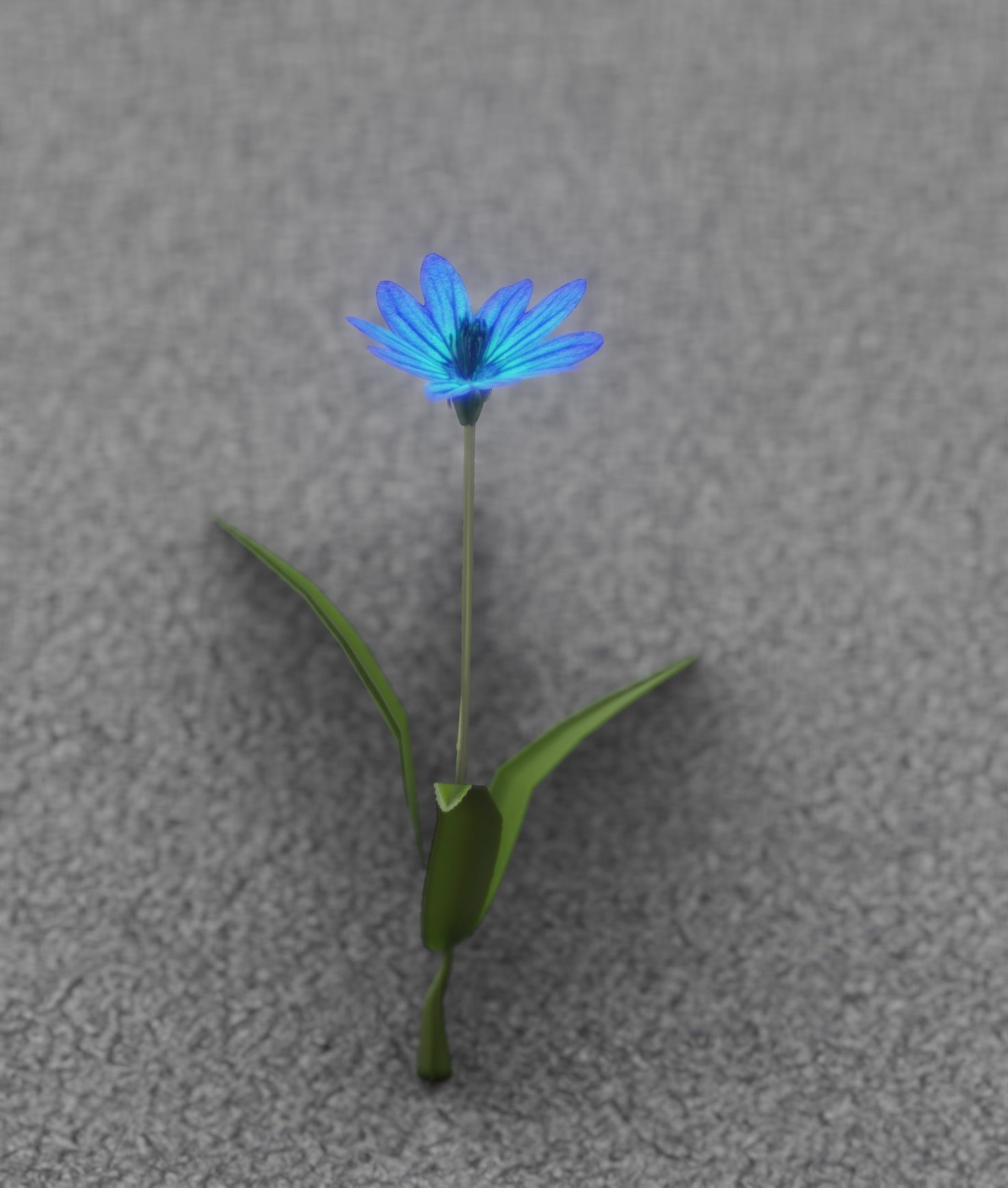 Blue Flower - Verion 3 - Object 18 Low-poly 3D model_40