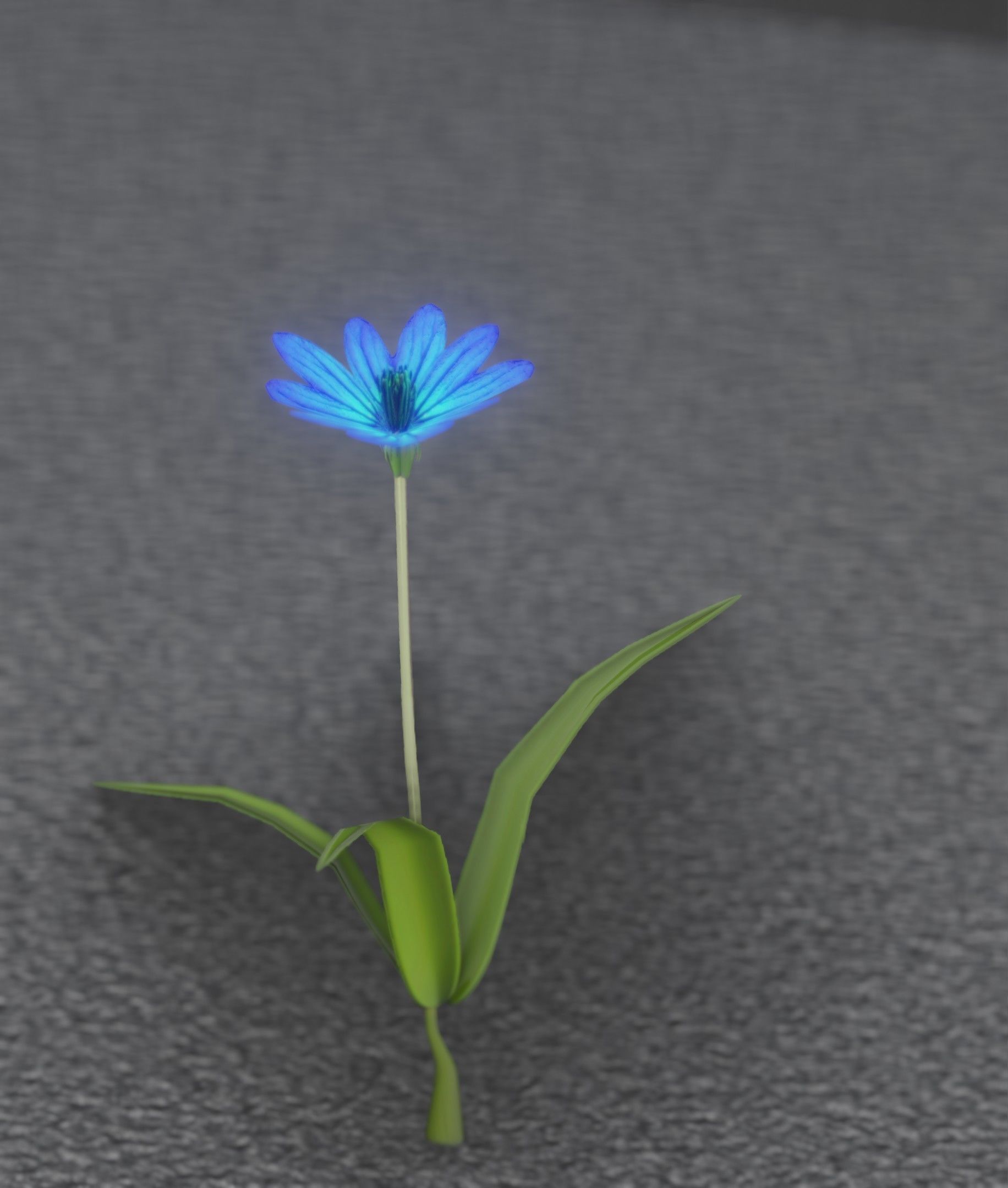Blue Flower - Verion 3 - Object 18 Low-poly 3D model_24