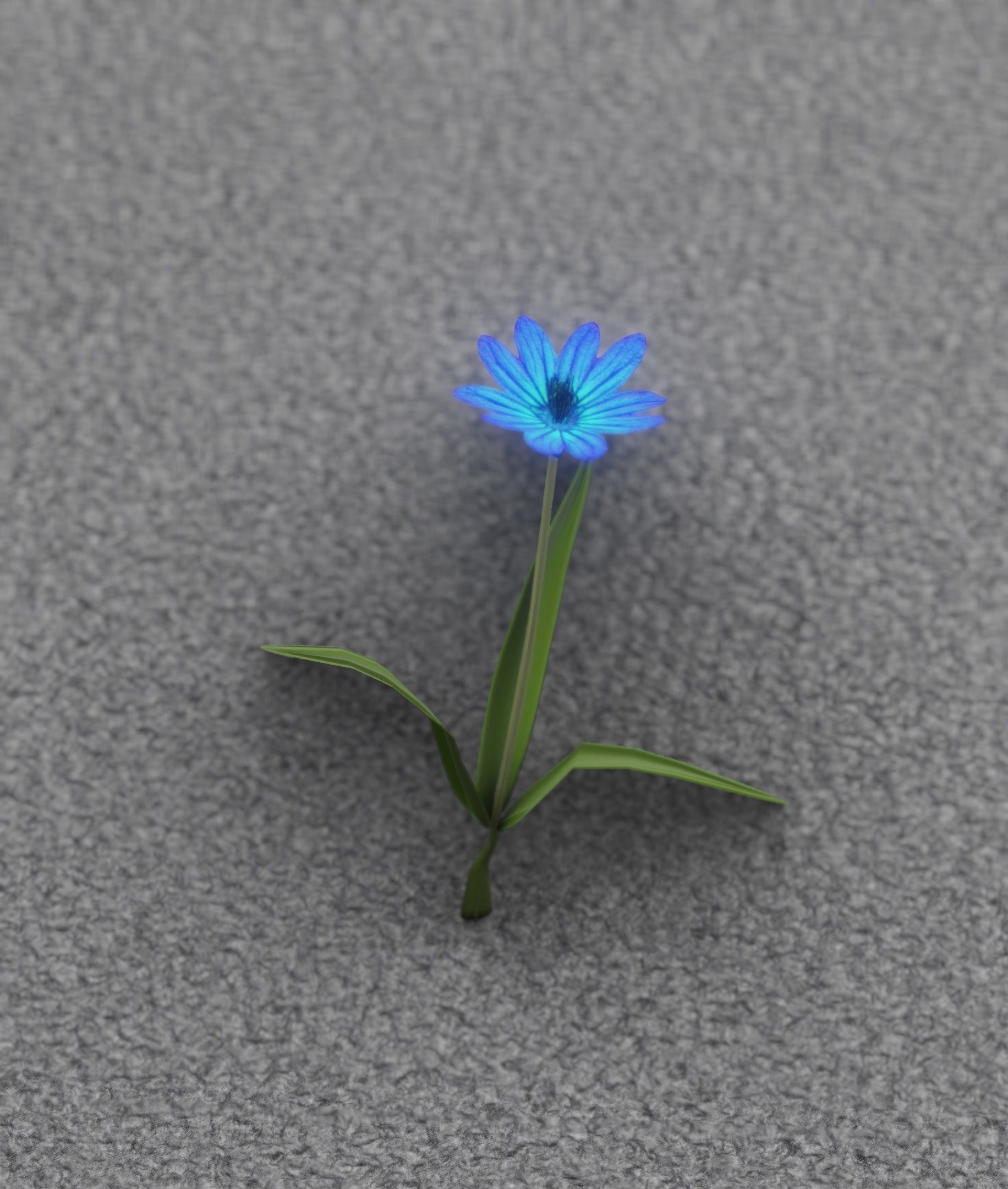 Blue Flower - Verion 3 - Object 18 Low-poly 3D model_32