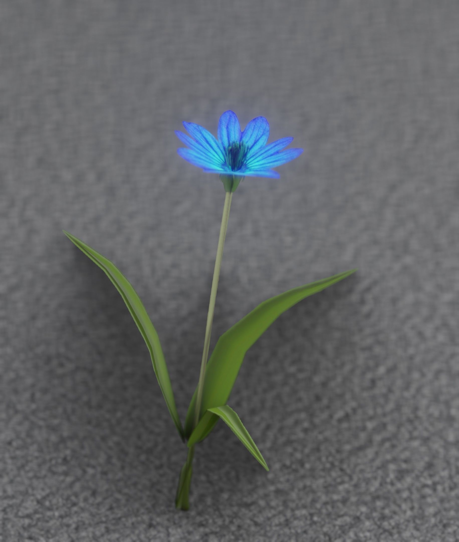 Blue Flower - Verion 3 - Object 18 Low-poly 3D model_29