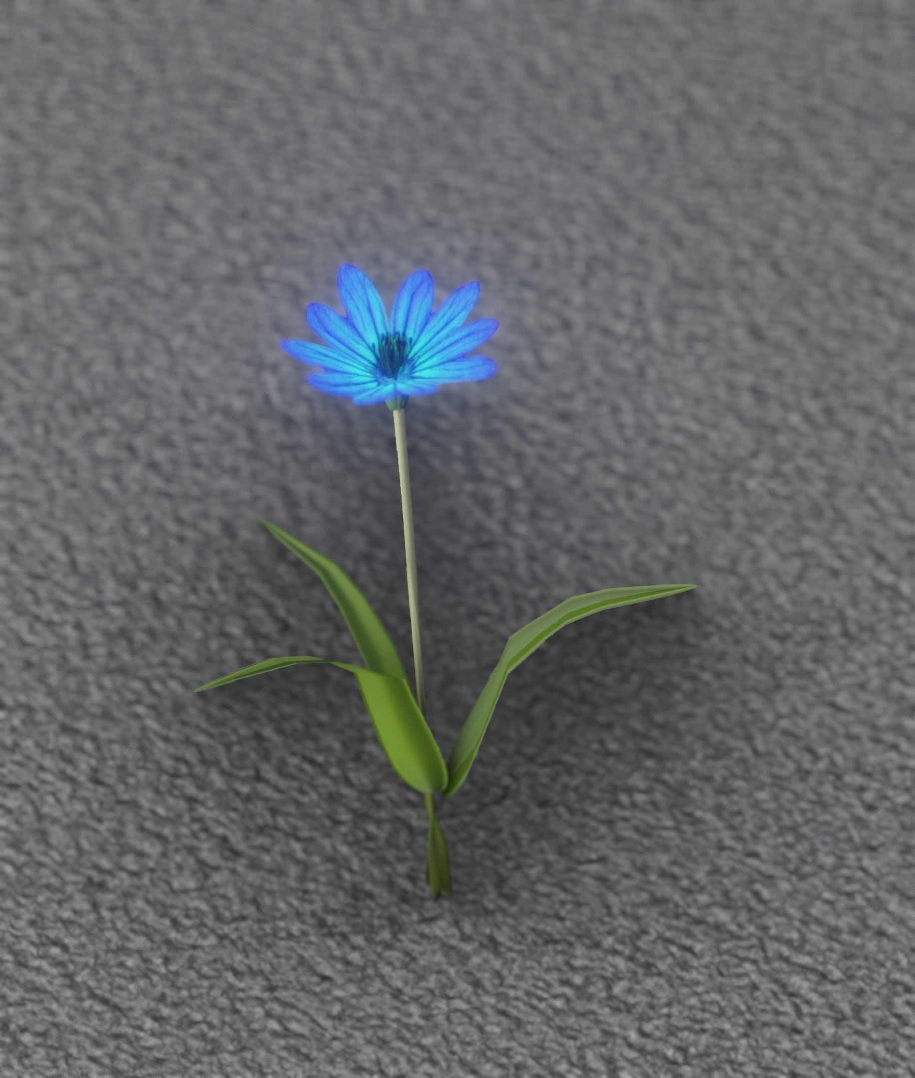 Blue Flower - Verion 3 - Object 18 Low-poly 3D model_37