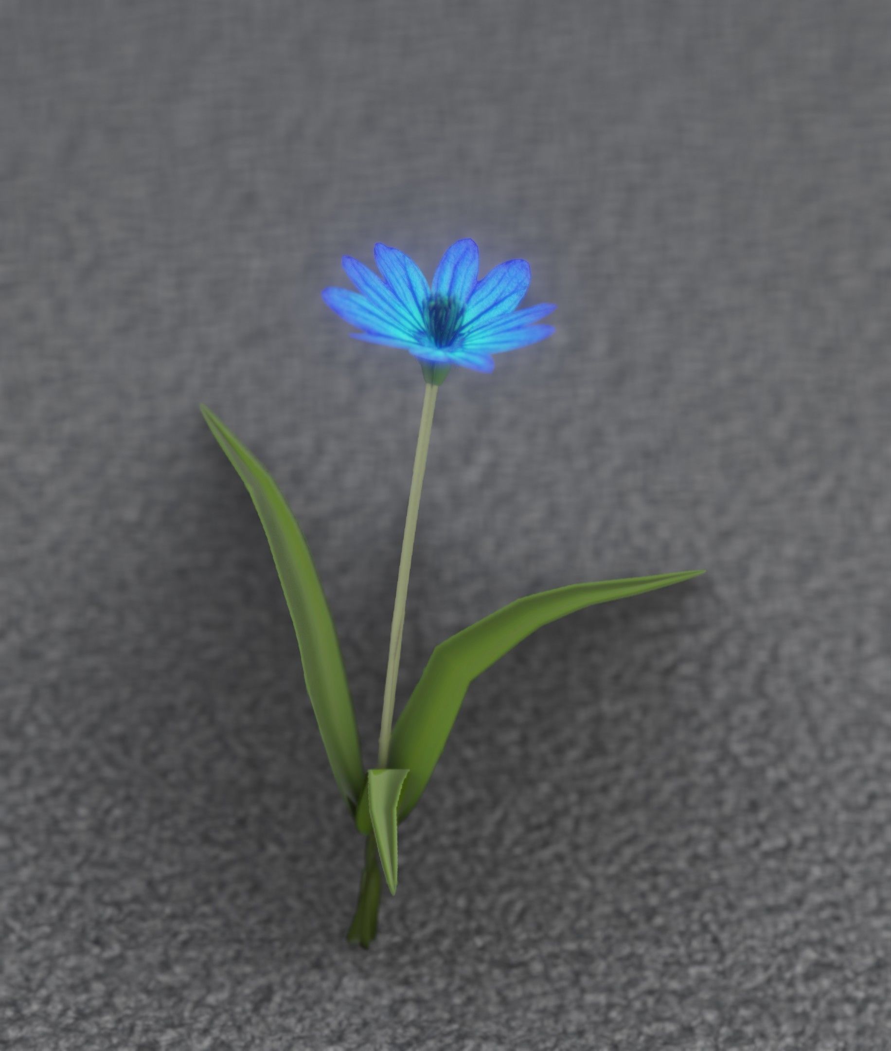 Blue Flower - Verion 3 - Object 18 Low-poly 3D model_45