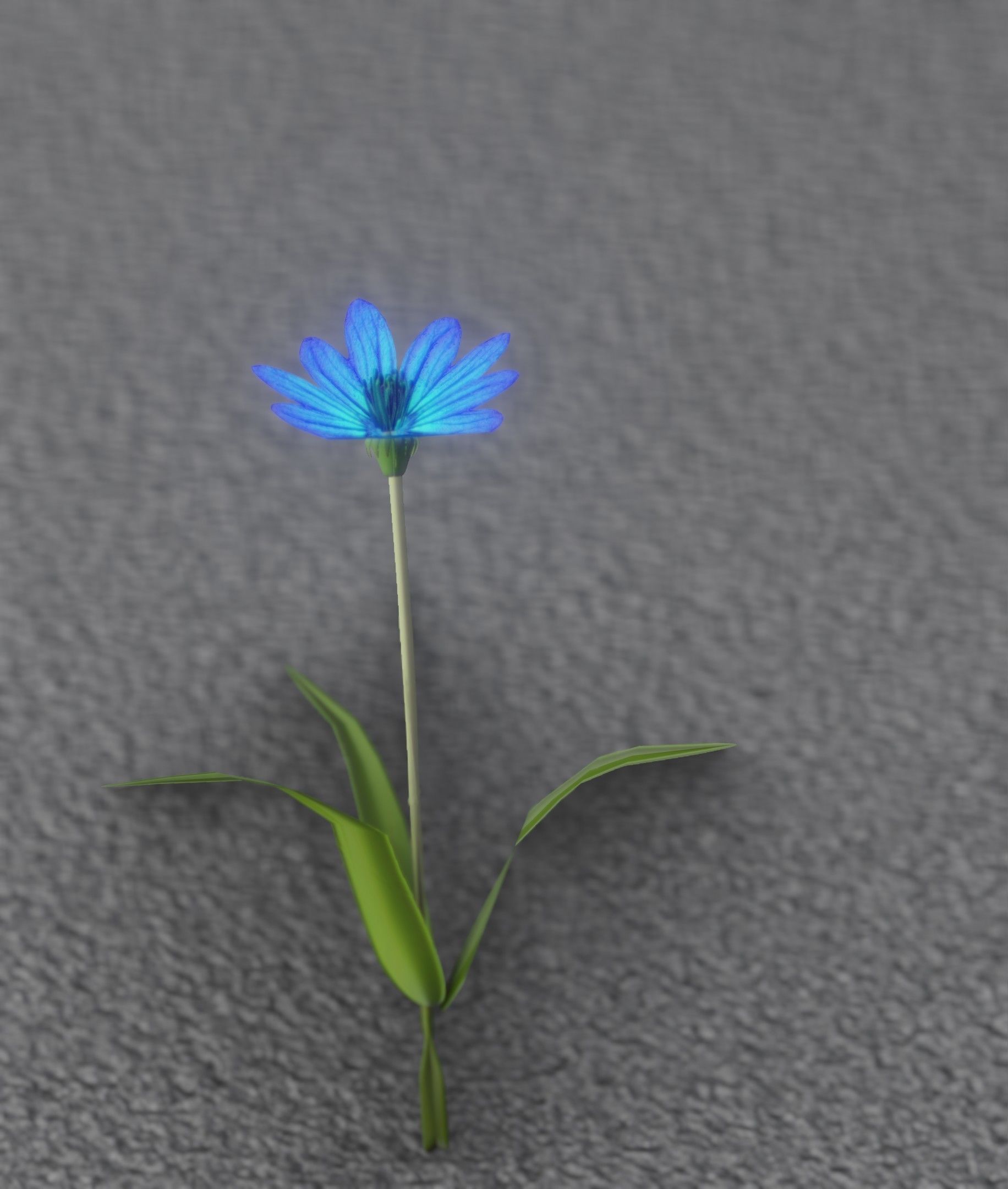 Blue Flower - Verion 3 - Object 18 Low-poly 3D model_26