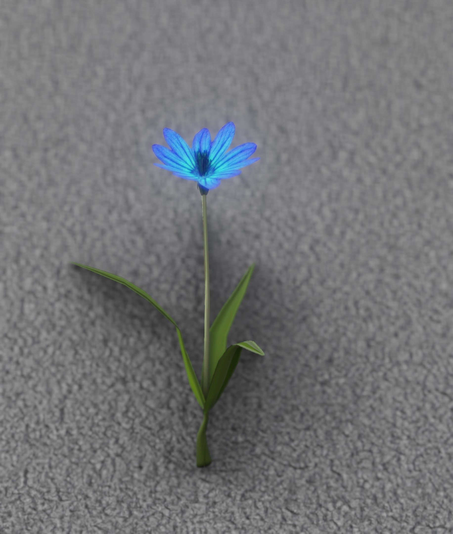 Blue Flower - Verion 3 - Object 18 Low-poly 3D model_39