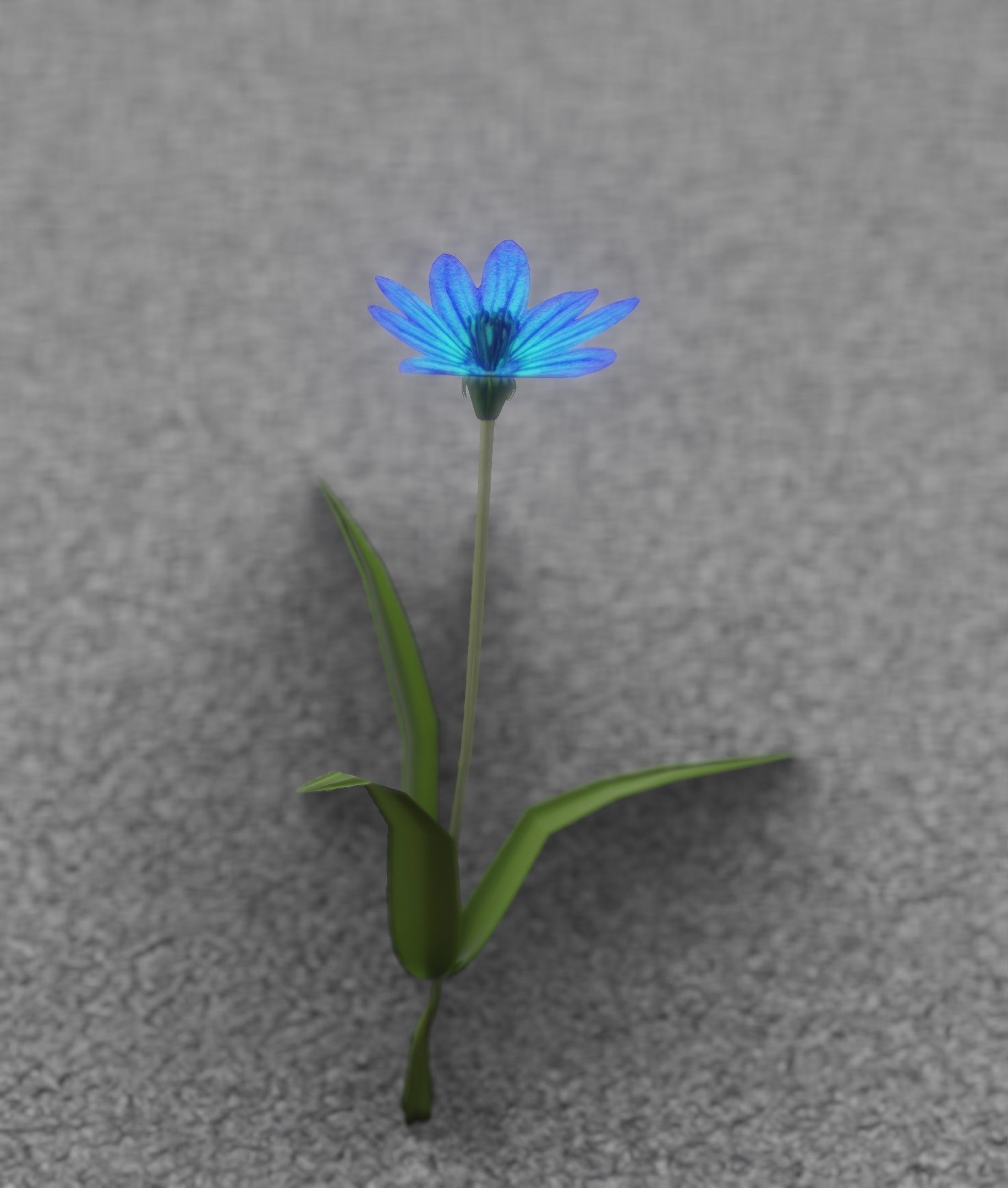 Blue Flower - Verion 3 - Object 18 Low-poly 3D model_41