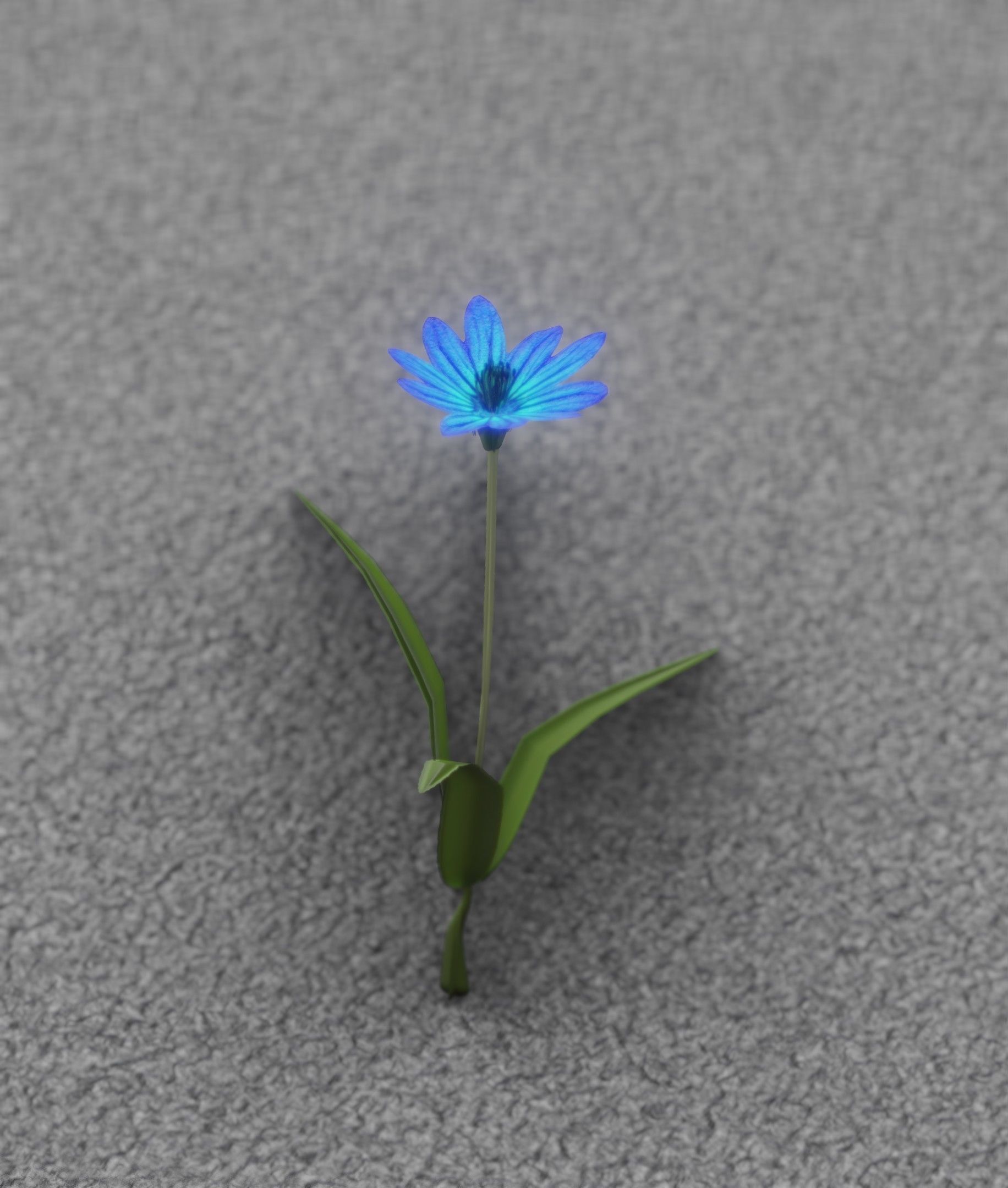 Blue Flower - Verion 3 - Object 18 Low-poly 3D model_30