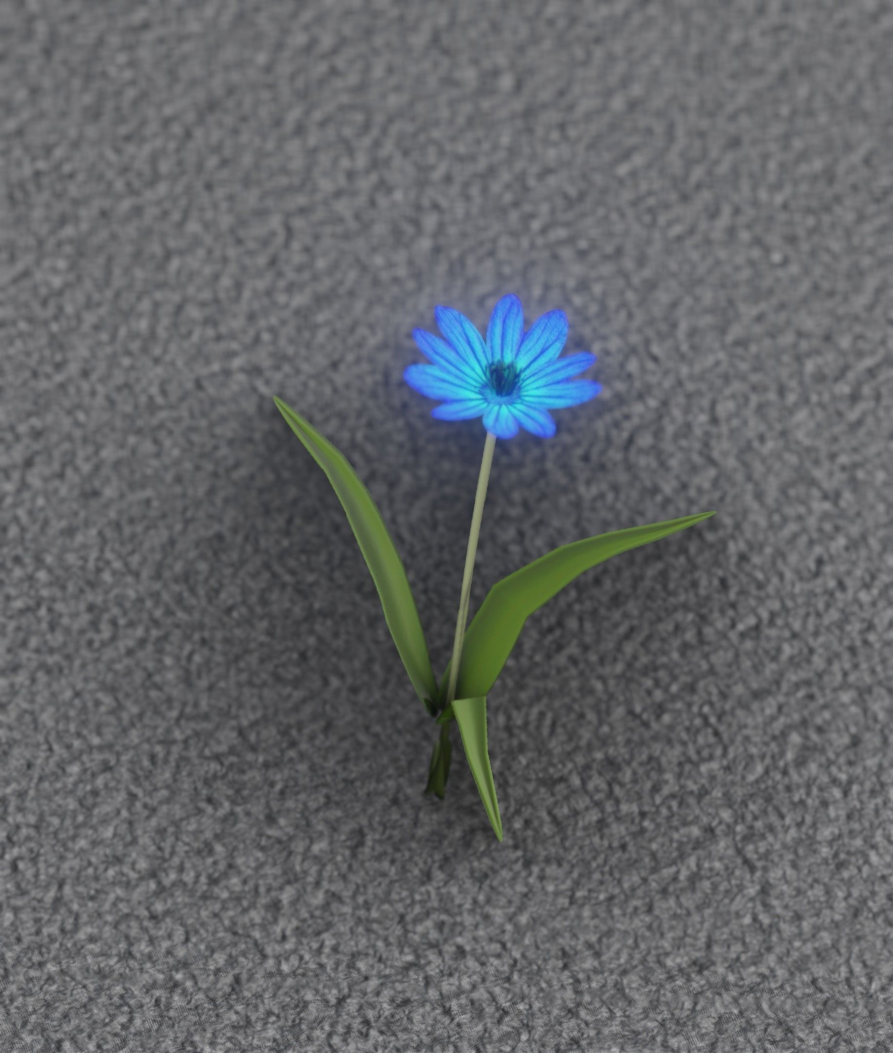 Blue Flower - Verion 3 - Object 18 Low-poly 3D model_33