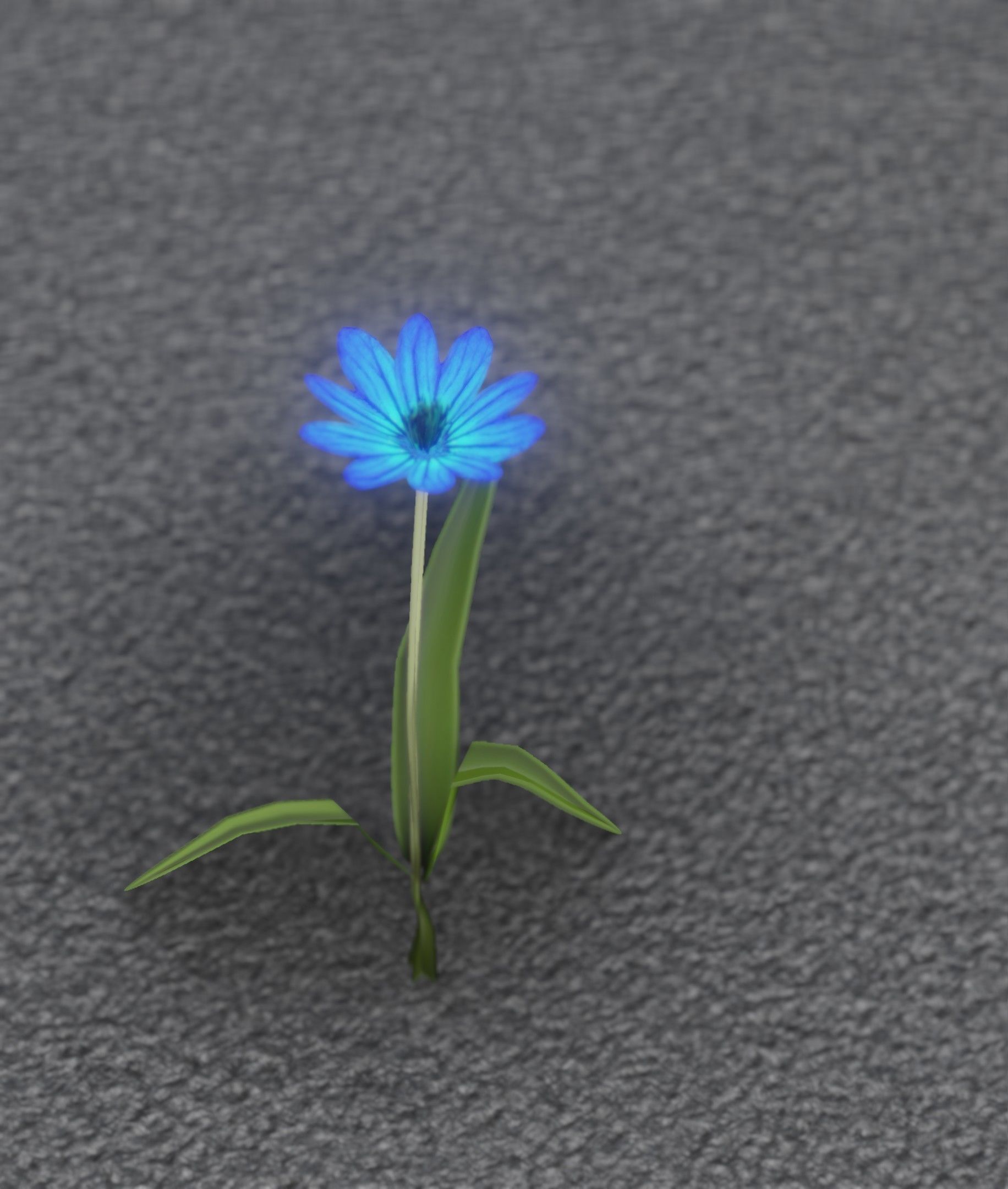 Blue Flower - Verion 3 - Object 18 Low-poly 3D model_48