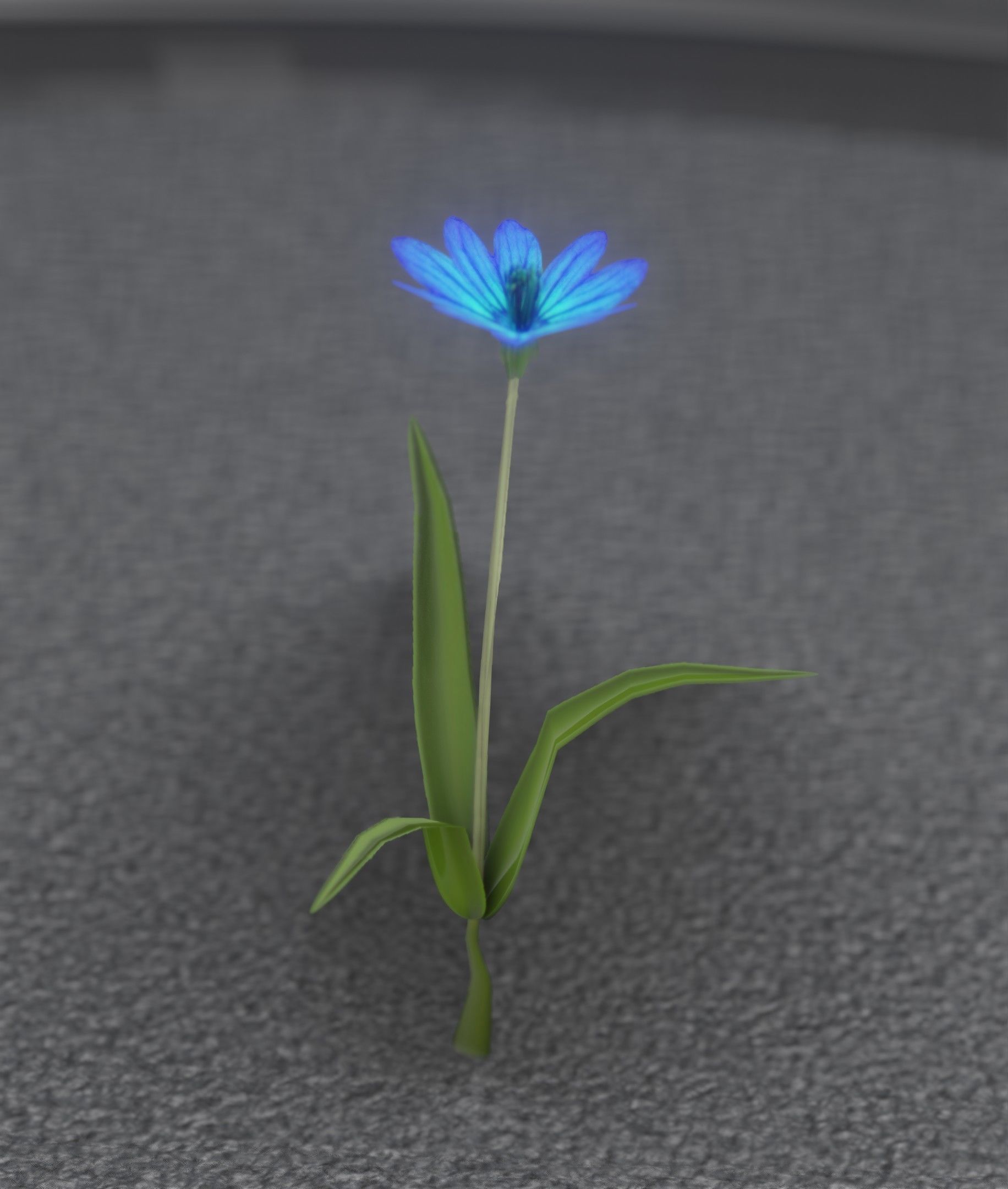 Blue Flower - Verion 3 - Object 18 Low-poly 3D model_21
