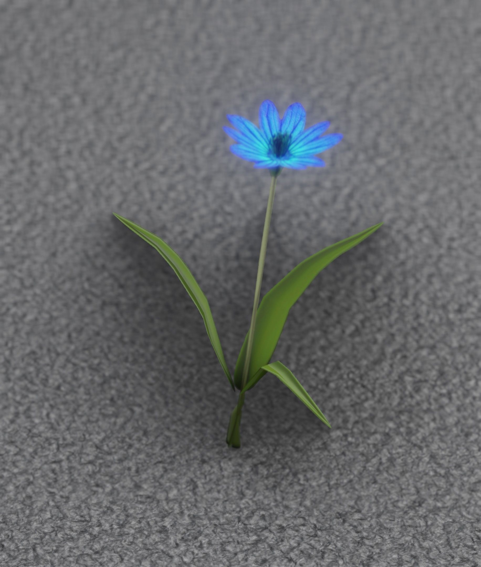Blue Flower - Verion 3 - Object 18 Low-poly 3D model_7
