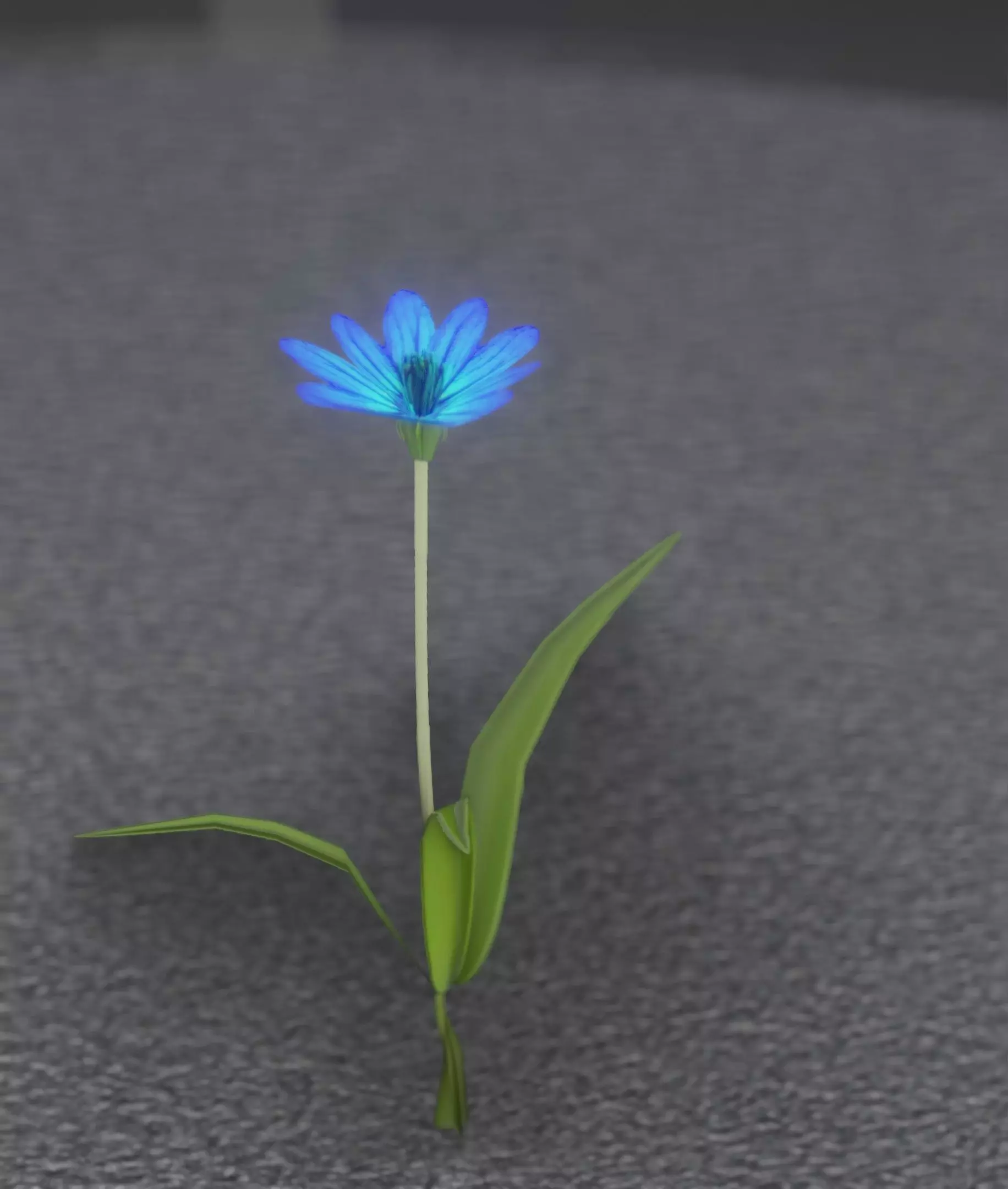 Blue Flower - Verion 3 - Object 18 Low-poly 3D model_0