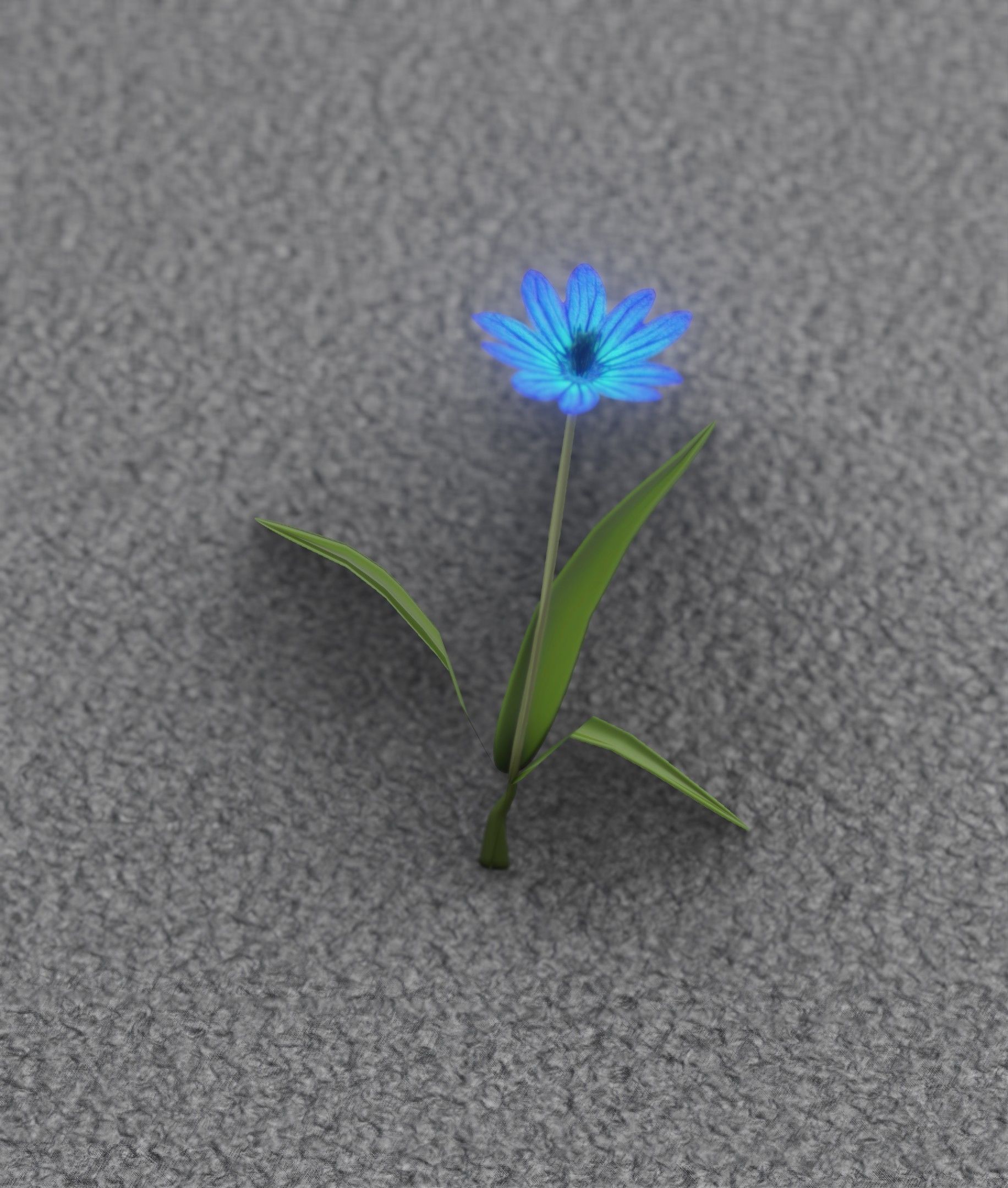 Blue Flower - Verion 3 - Object 18 Low-poly 3D model_19