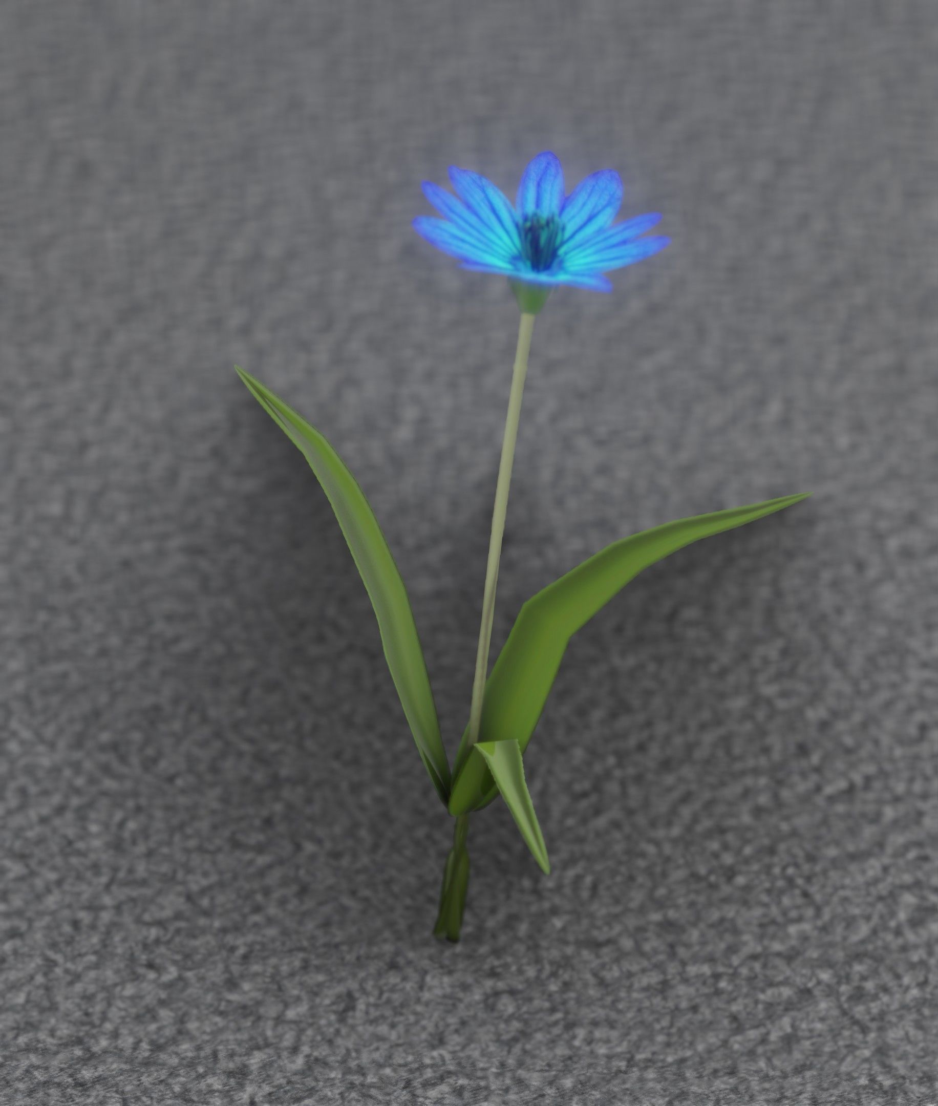 Blue Flower - Verion 3 - Object 18 Low-poly 3D model_20
