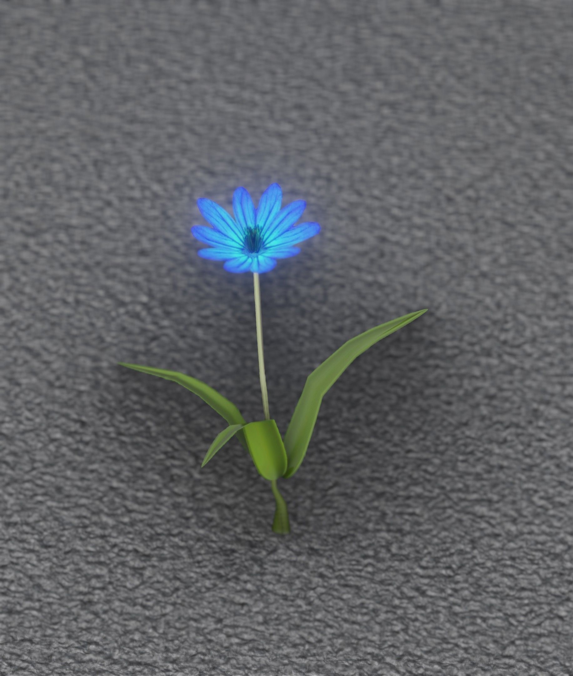 Blue Flower - Verion 3 - Object 18 Low-poly 3D model_36