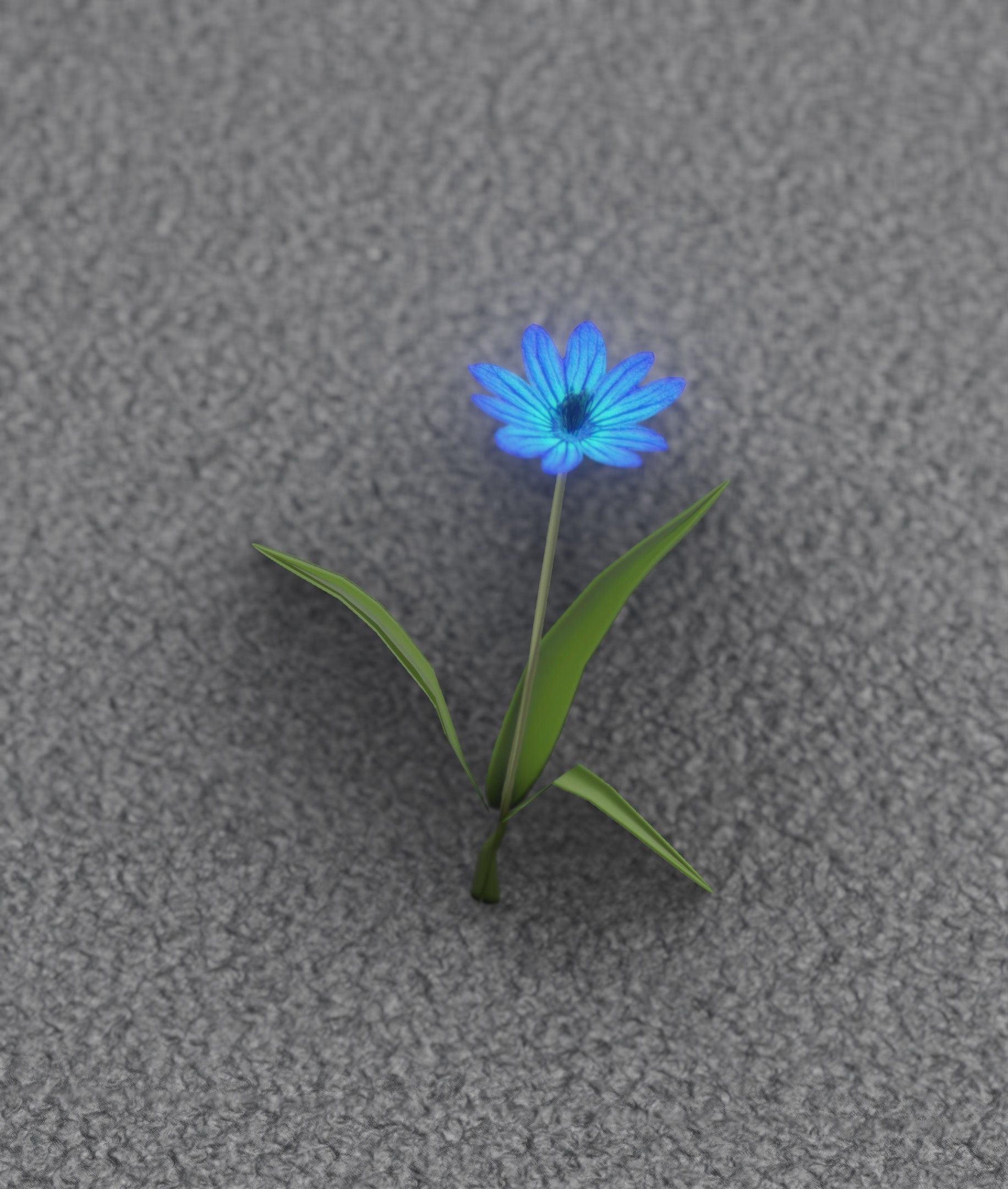 Blue Flower - Verion 3 - Object 18 Low-poly 3D model_3