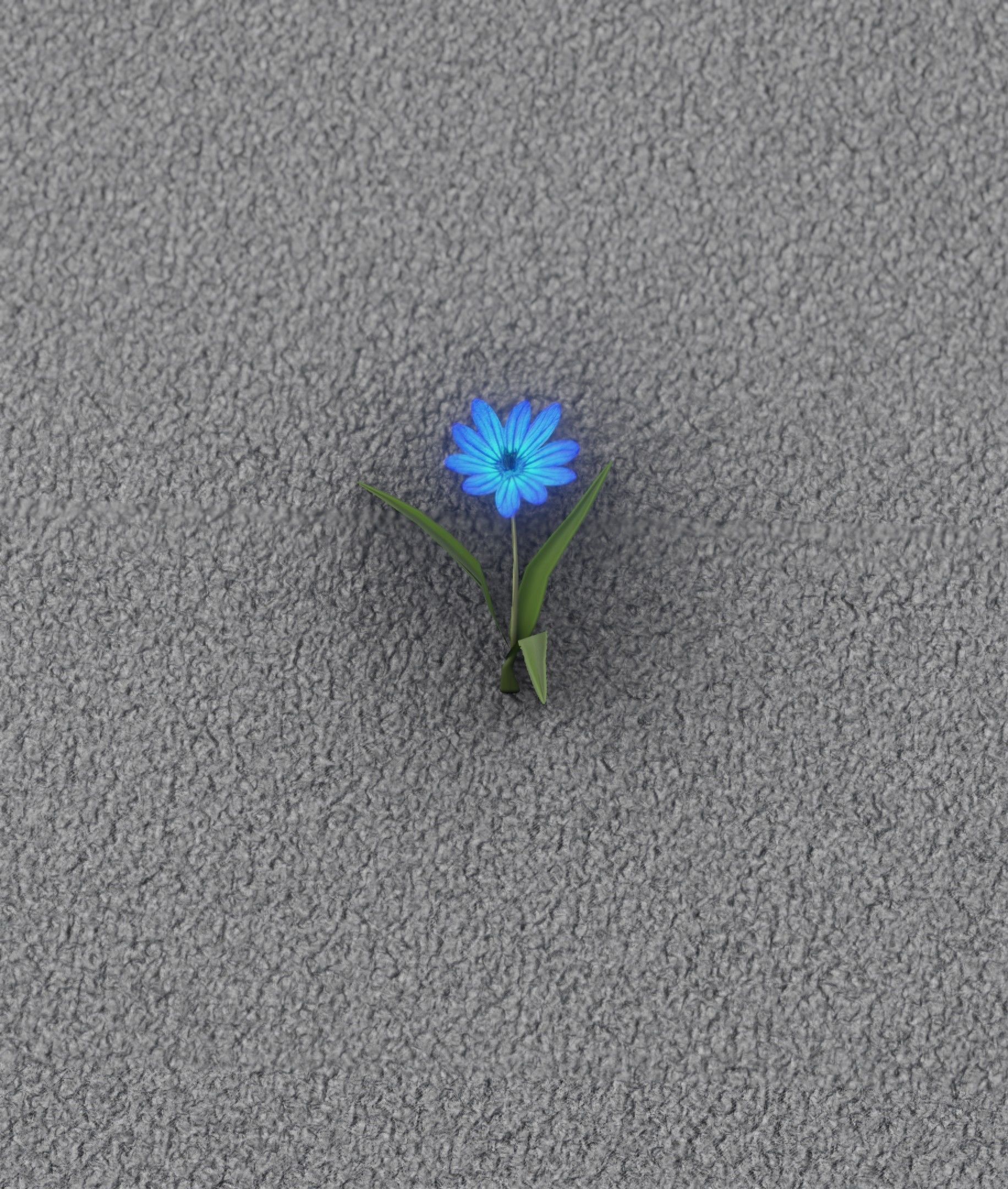 Blue Flower - Verion 3 - Object 18 Low-poly 3D model_13