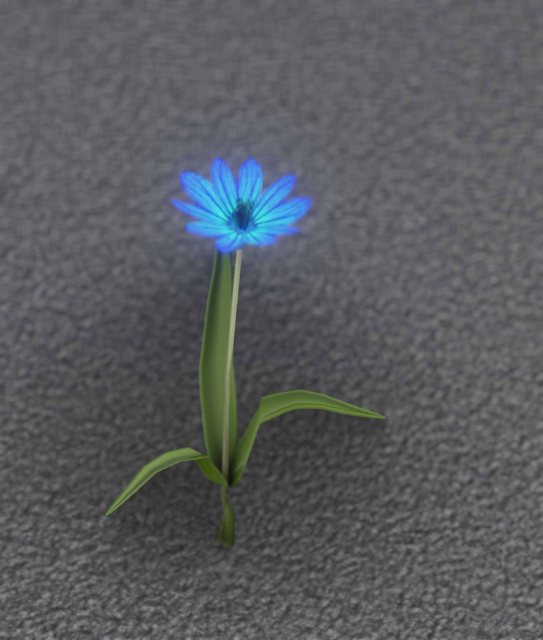 Blue Flower - Verion 3 - Object 18 Low-poly 3D model_47