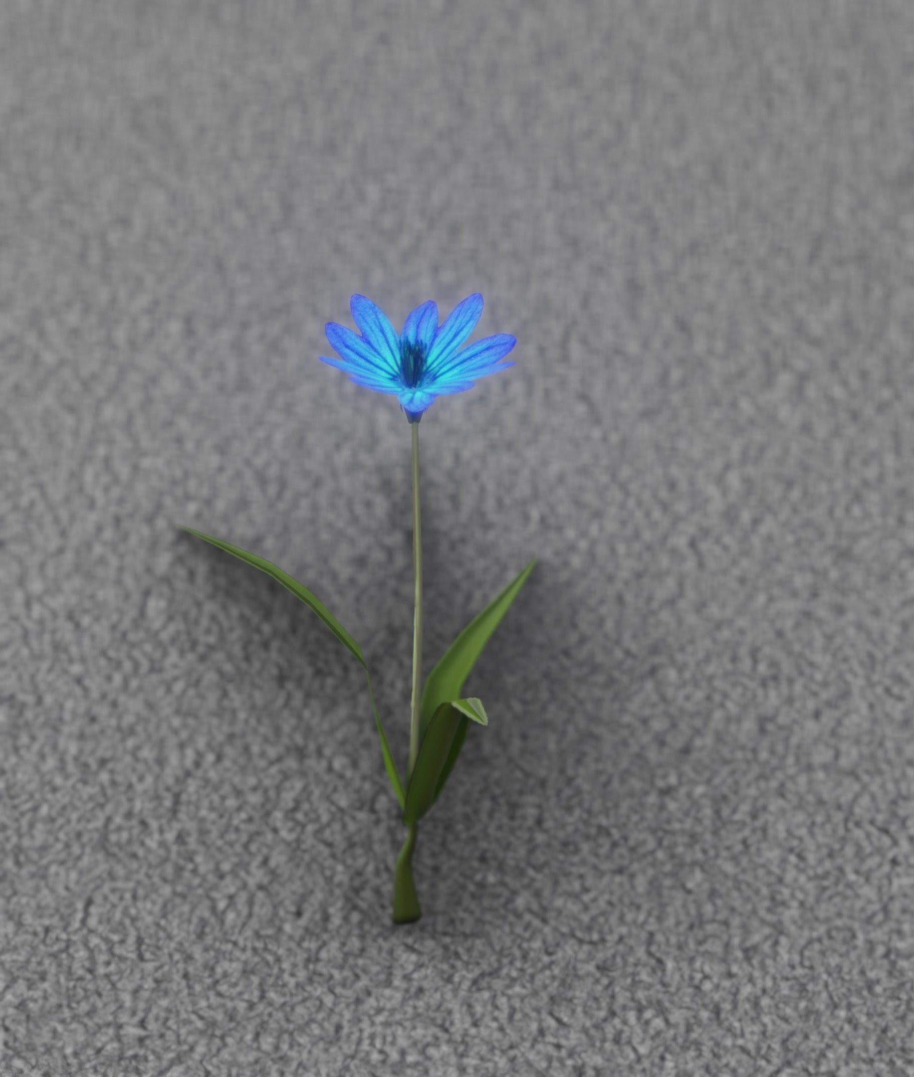 Blue Flower - Verion 3 - Object 18 Low-poly 3D model_28