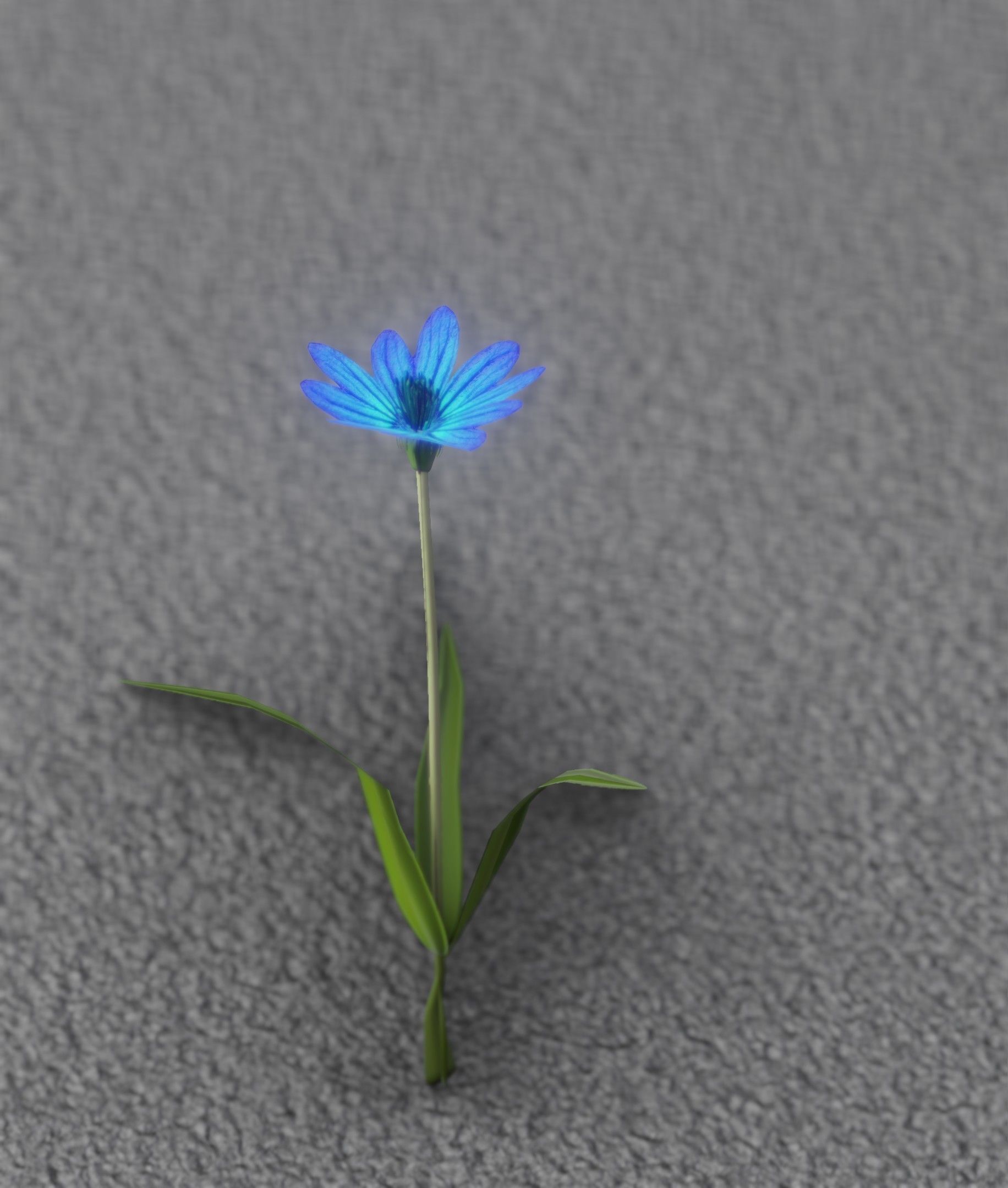 Blue Flower - Verion 3 - Object 18 Low-poly 3D model_27