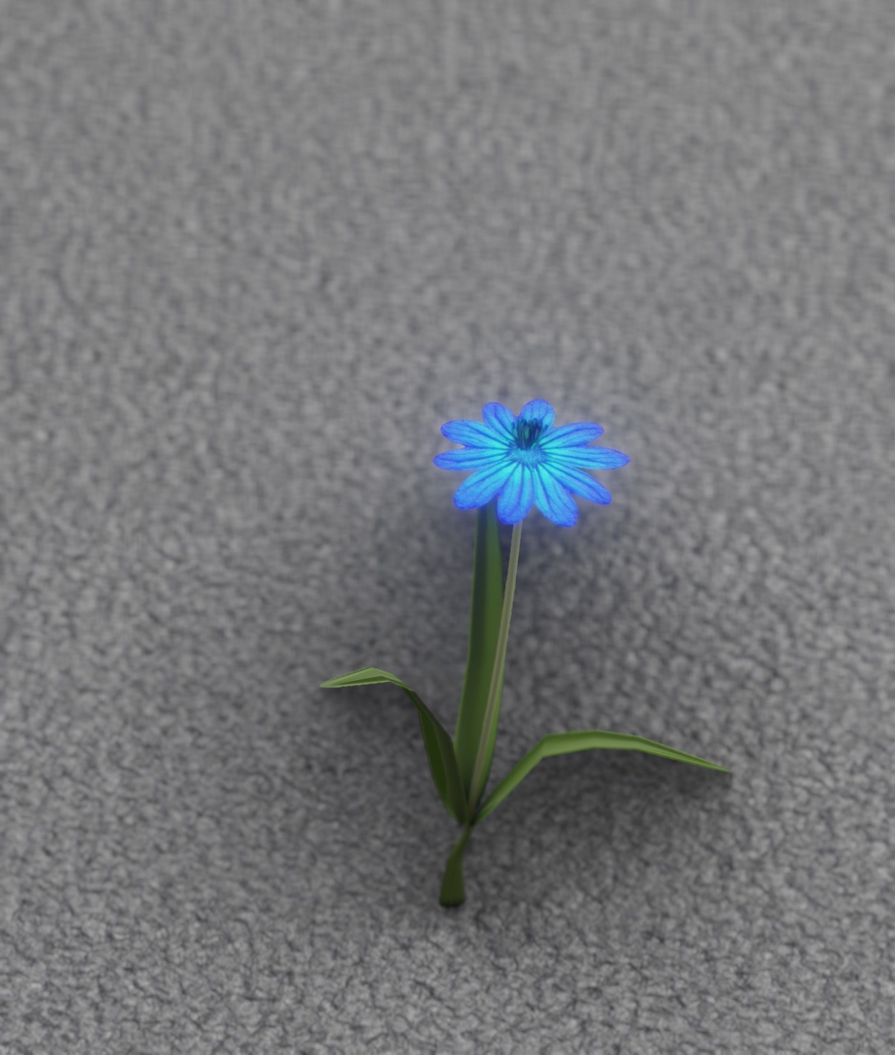 Blue Flower - Verion 4 - Object 19 Low-poly 3D model_14