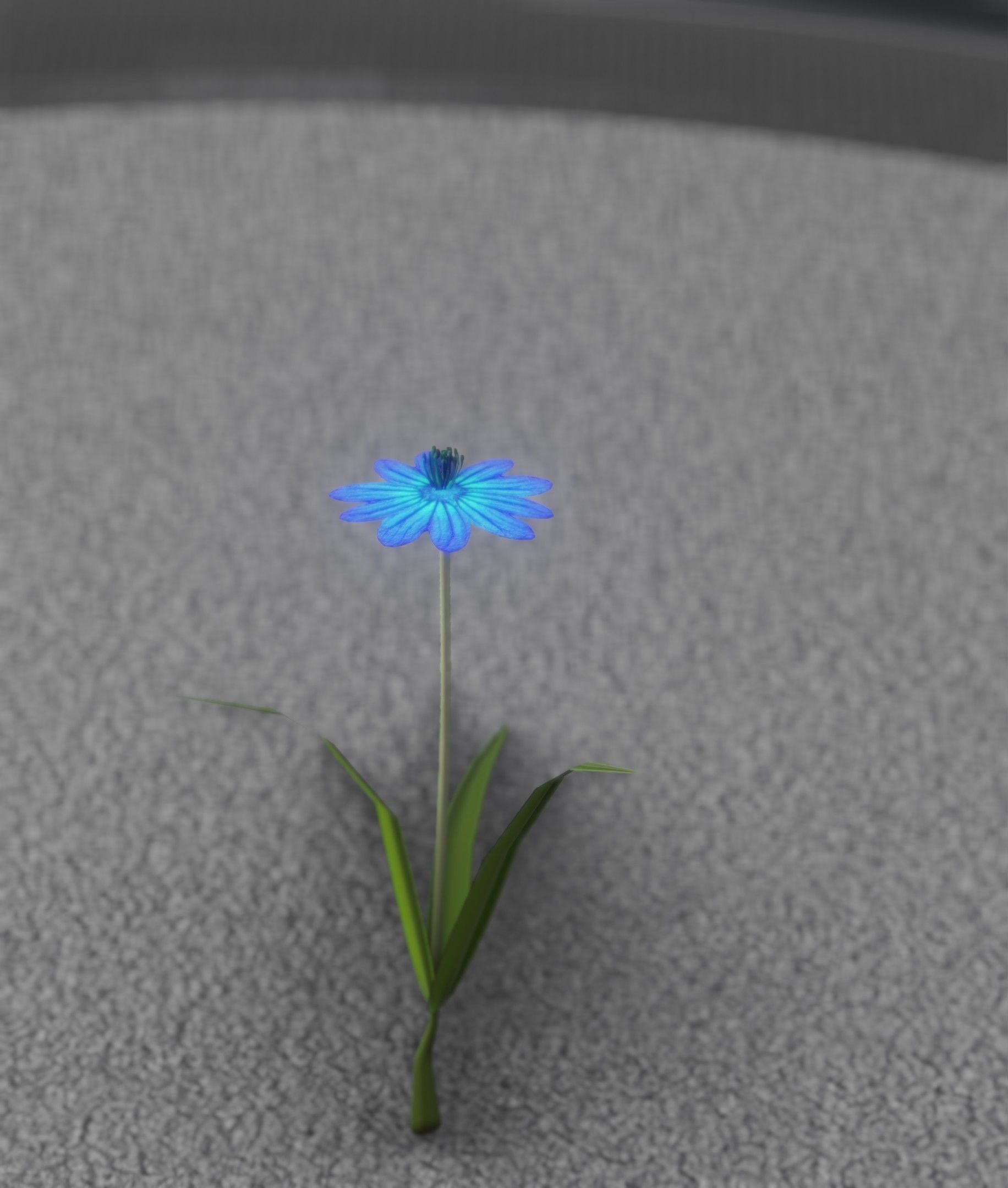 Blue Flower - Verion 4 - Object 19 Low-poly 3D model_26