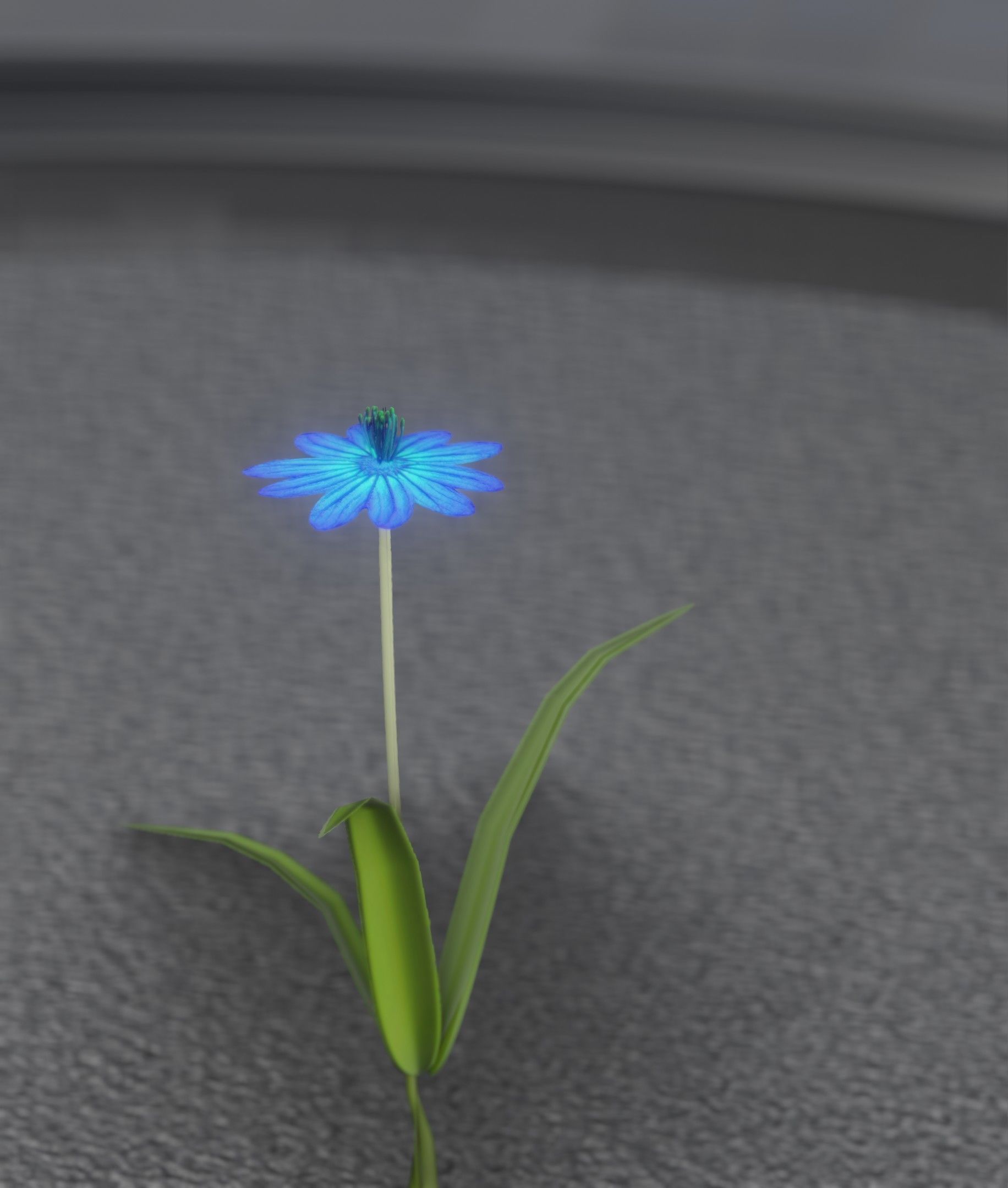 Blue Flower - Verion 4 - Object 19 Low-poly 3D model_23