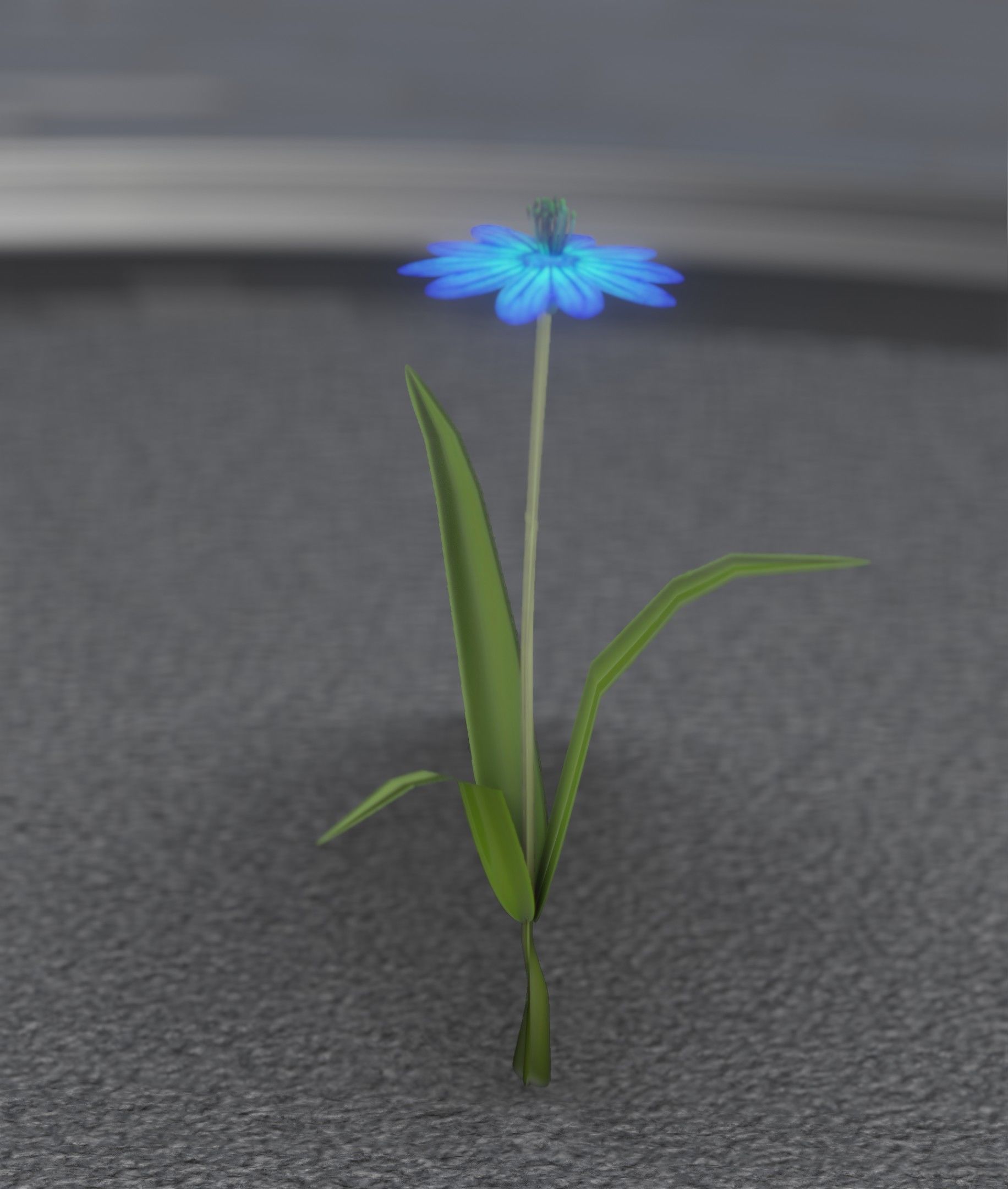 Blue Flower - Verion 4 - Object 19 Low-poly 3D model_19