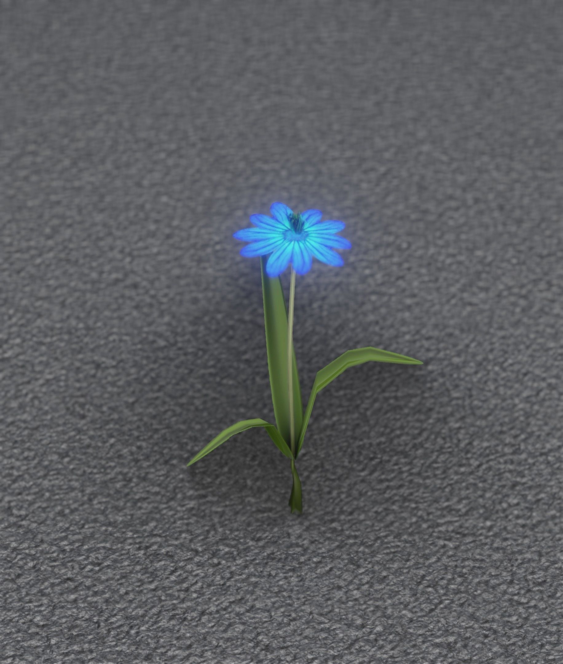 Blue Flower - Verion 4 - Object 19 Low-poly 3D model_34