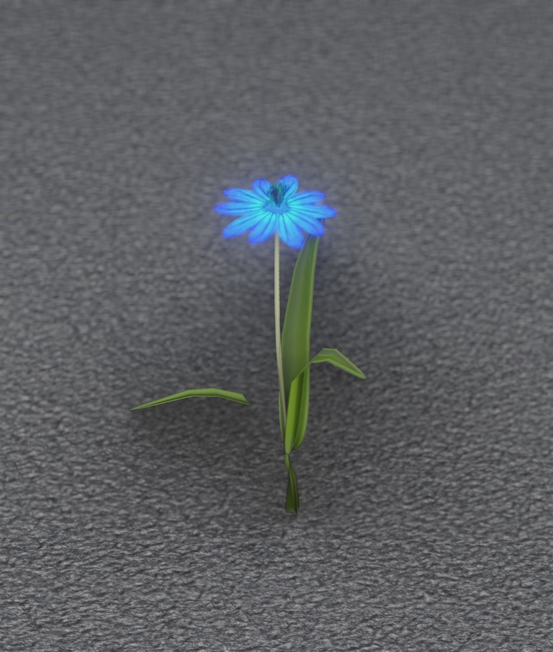 Blue Flower - Verion 4 - Object 19 Low-poly 3D model_35
