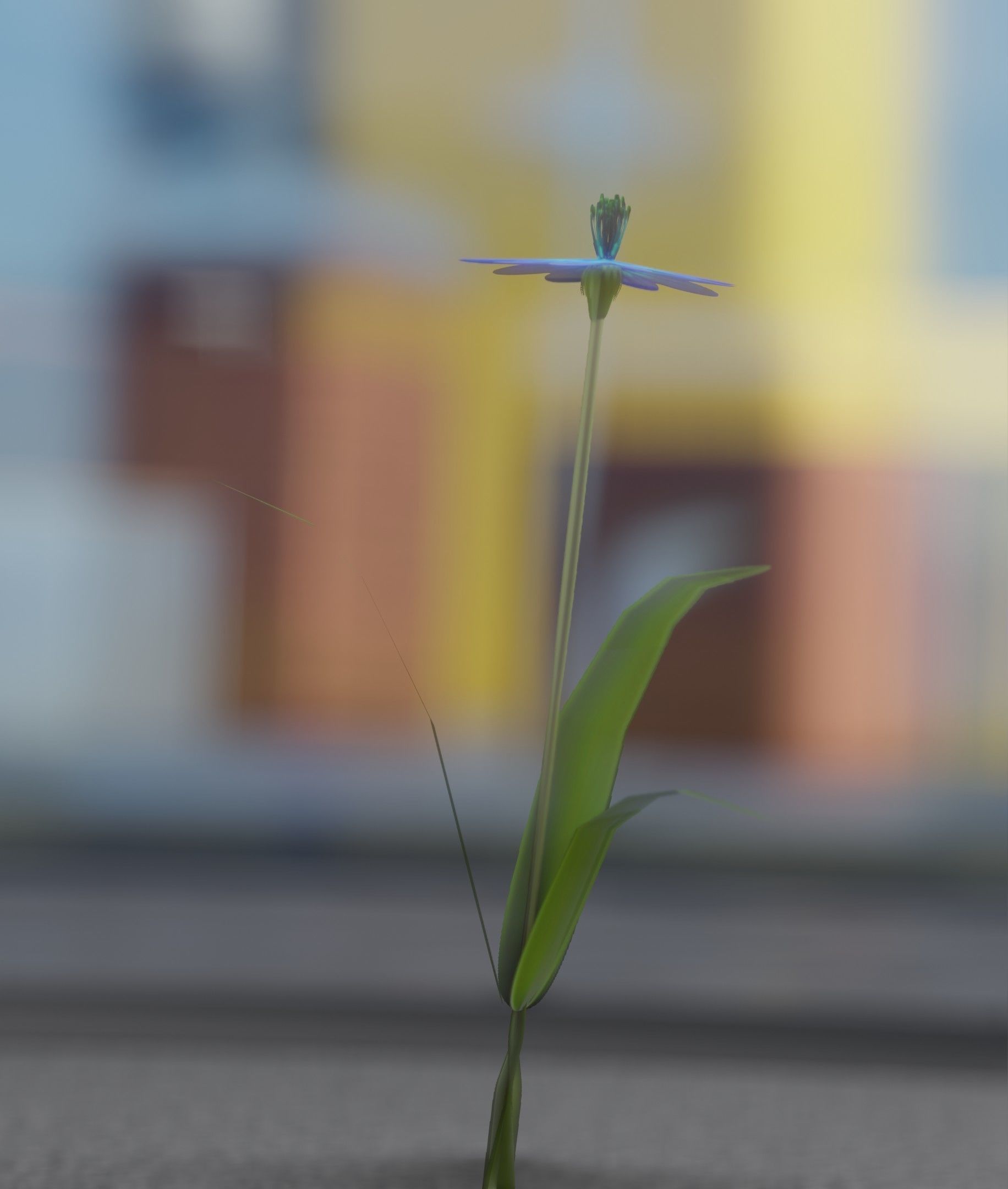Blue Flower - Verion 4 - Object 19 Low-poly 3D model_44