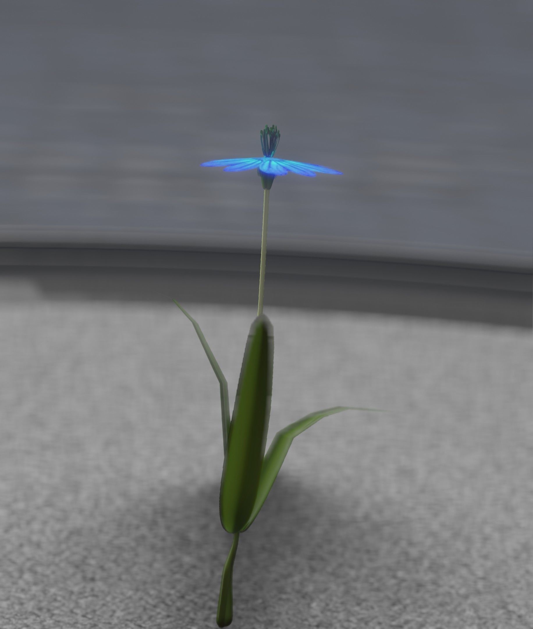Blue Flower - Verion 4 - Object 19 Low-poly 3D model_40