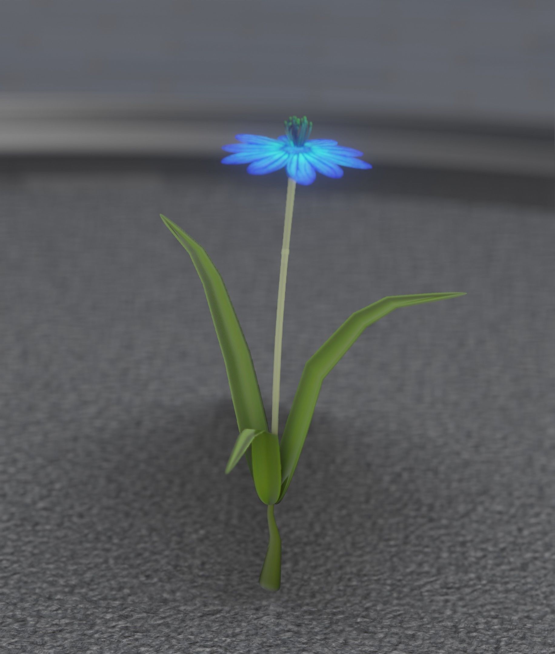 Blue Flower - Verion 4 - Object 19 Low-poly 3D model_18