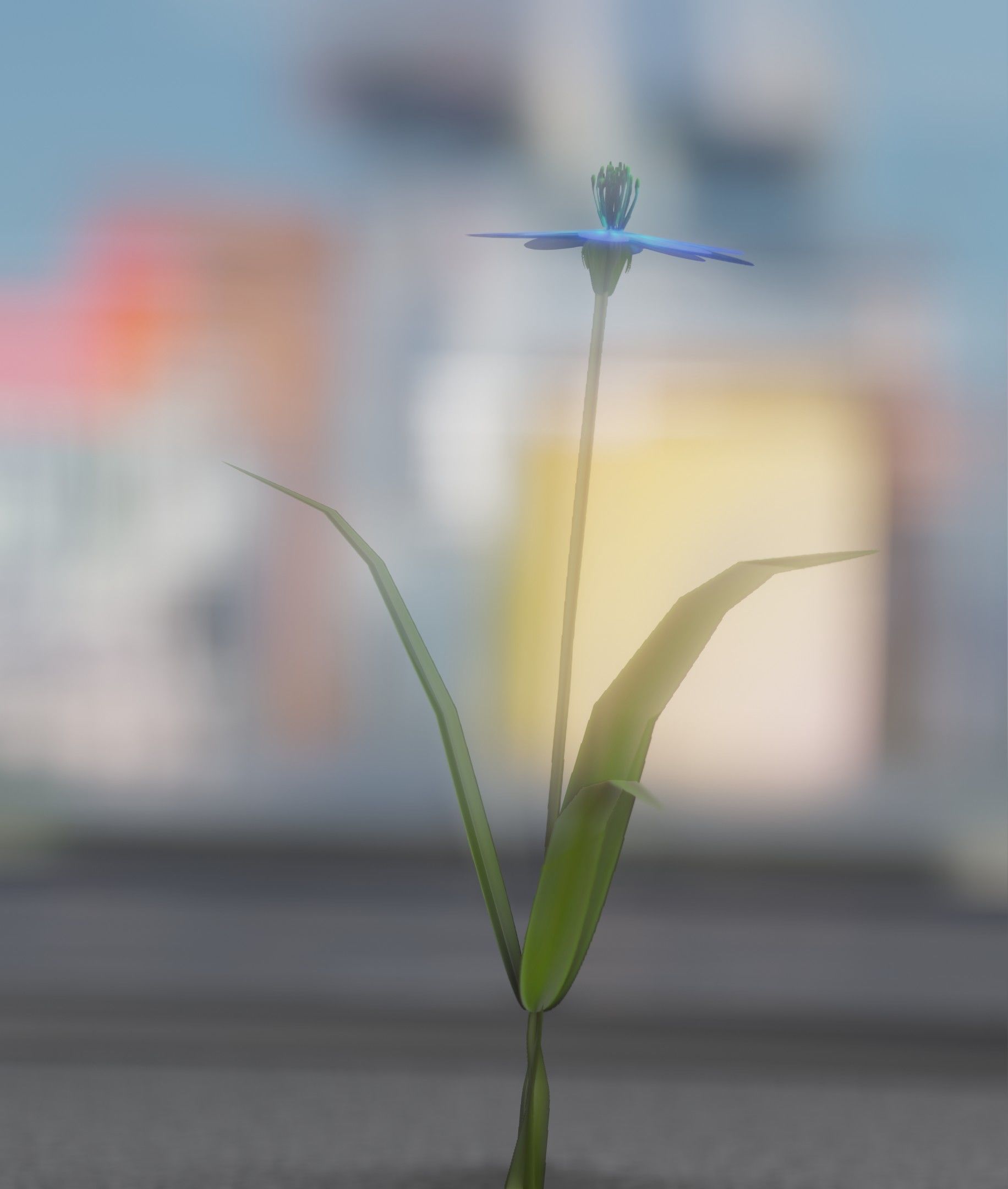 Blue Flower - Verion 4 - Object 19 Low-poly 3D model_45