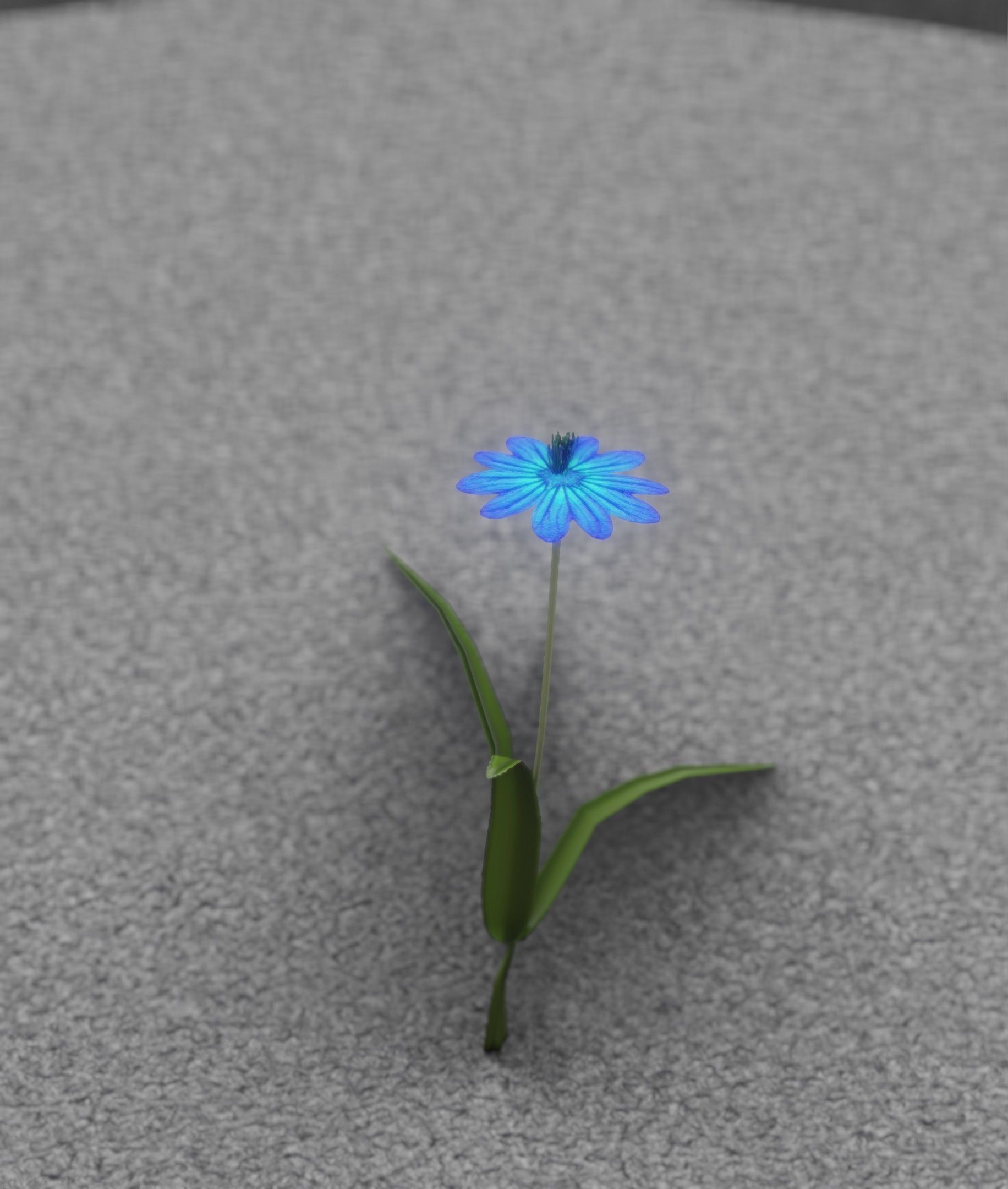 Blue Flower - Verion 4 - Object 19 Low-poly 3D model_28